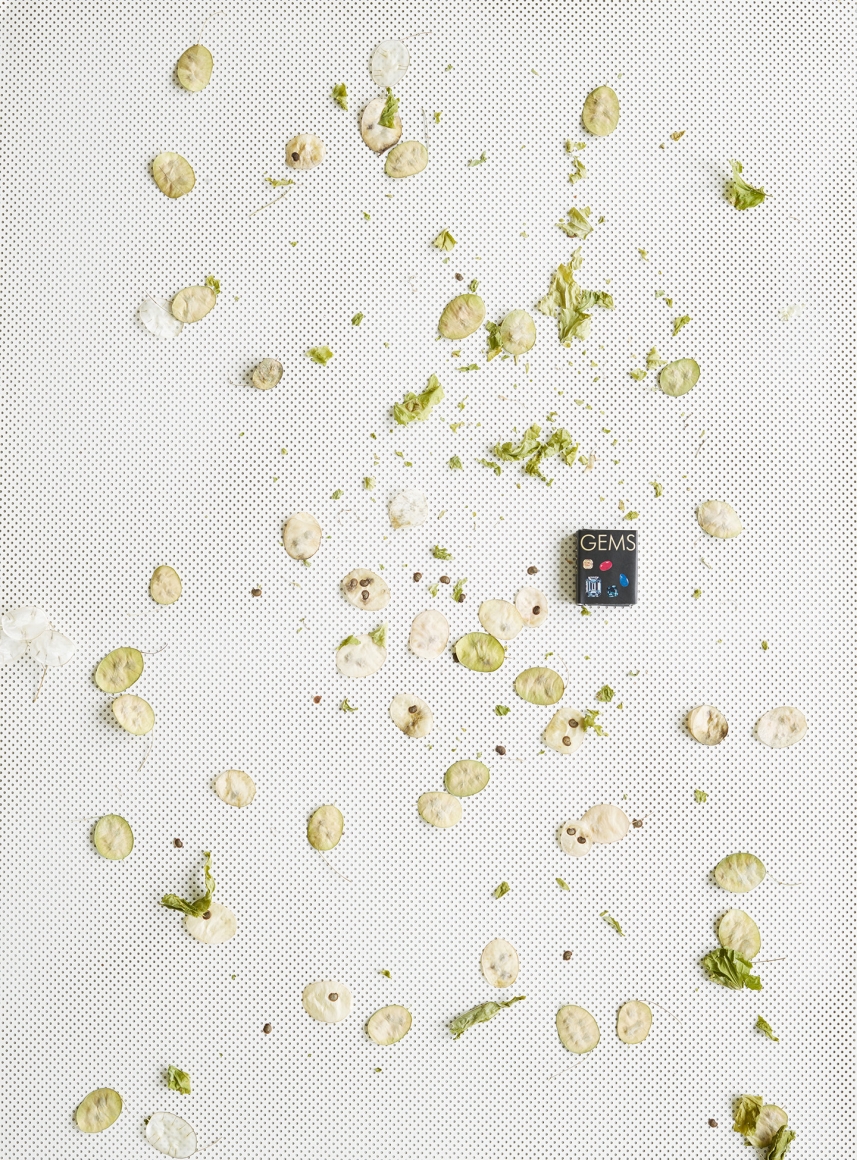 Annette Kelm Gems, 2018