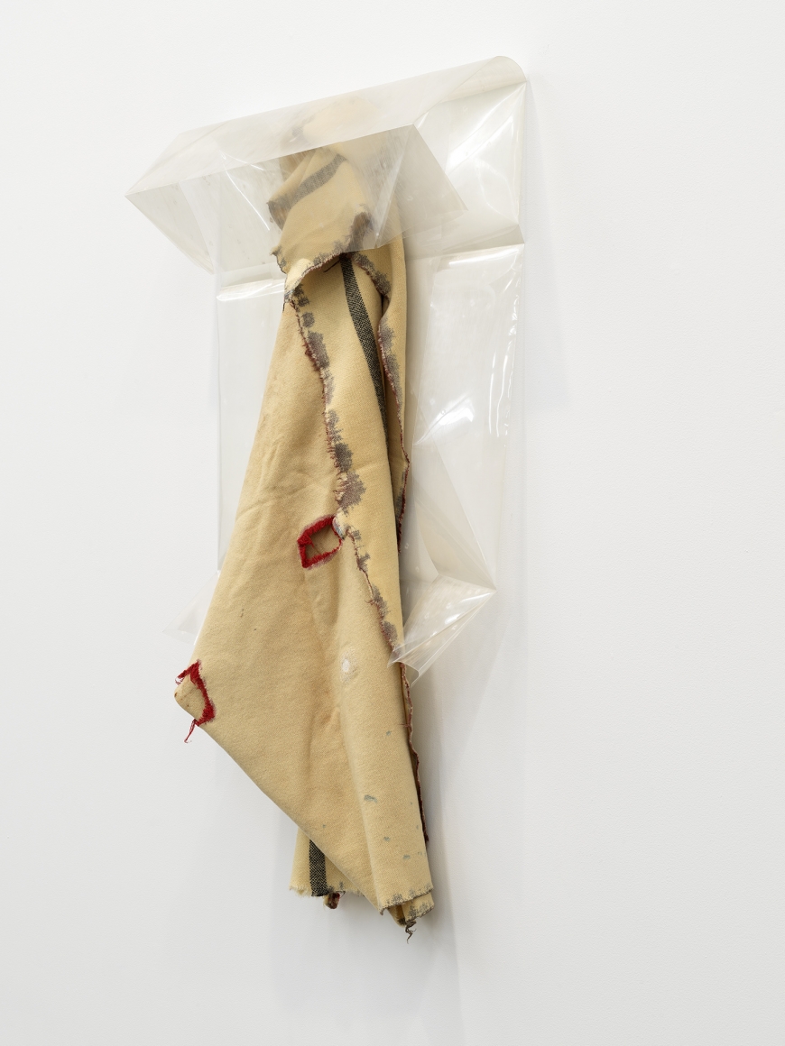 Detail view: Liz MagorToolshed (Marine paint), 2017Wool, acrylic sheet48 x 27 x 8 in (121.9 x 68.6 x 20.3 cm)