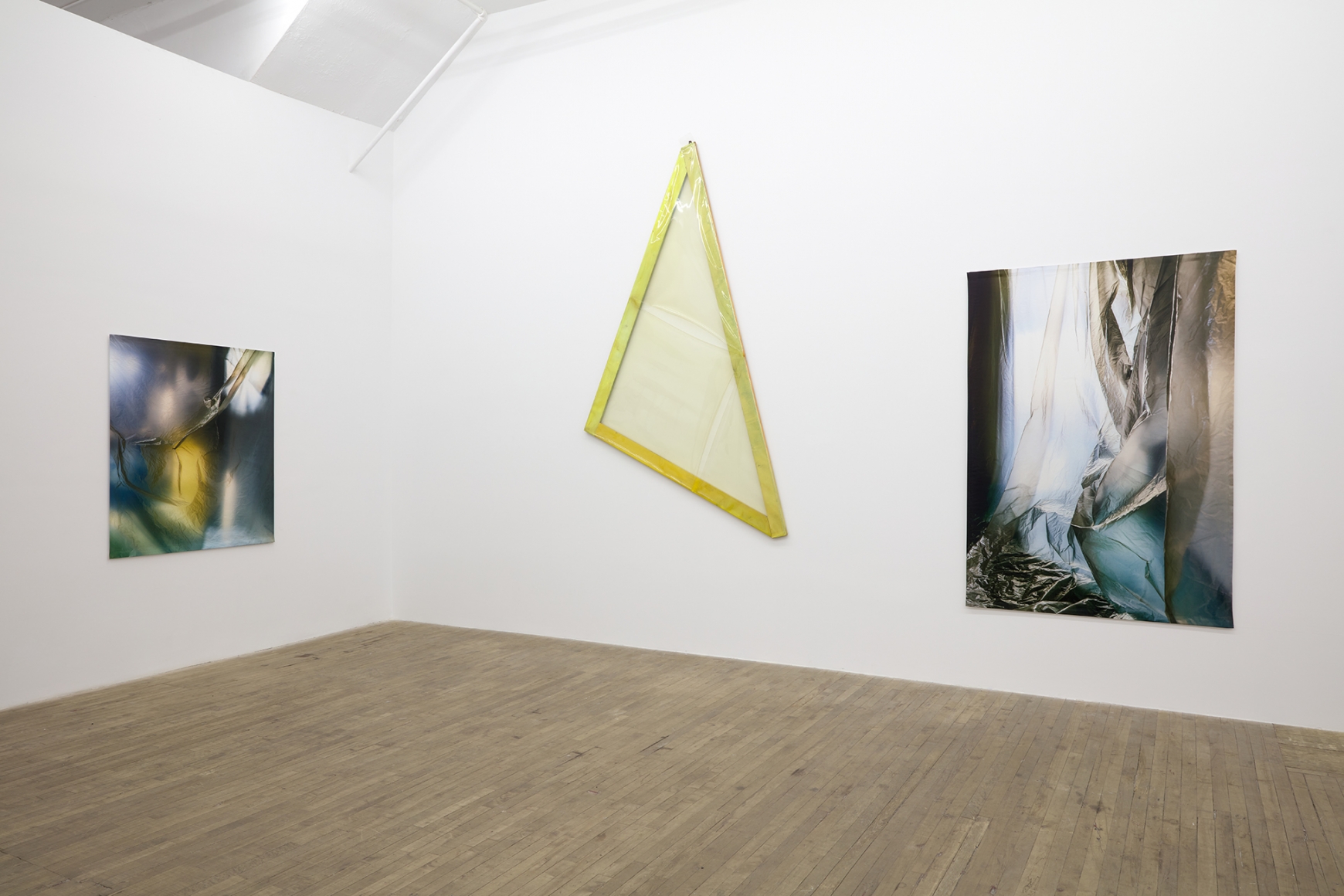 Carla Accardi and Elisa Sighicelli, December 4, 2020 - January 16, 2021, 55 Walker Street