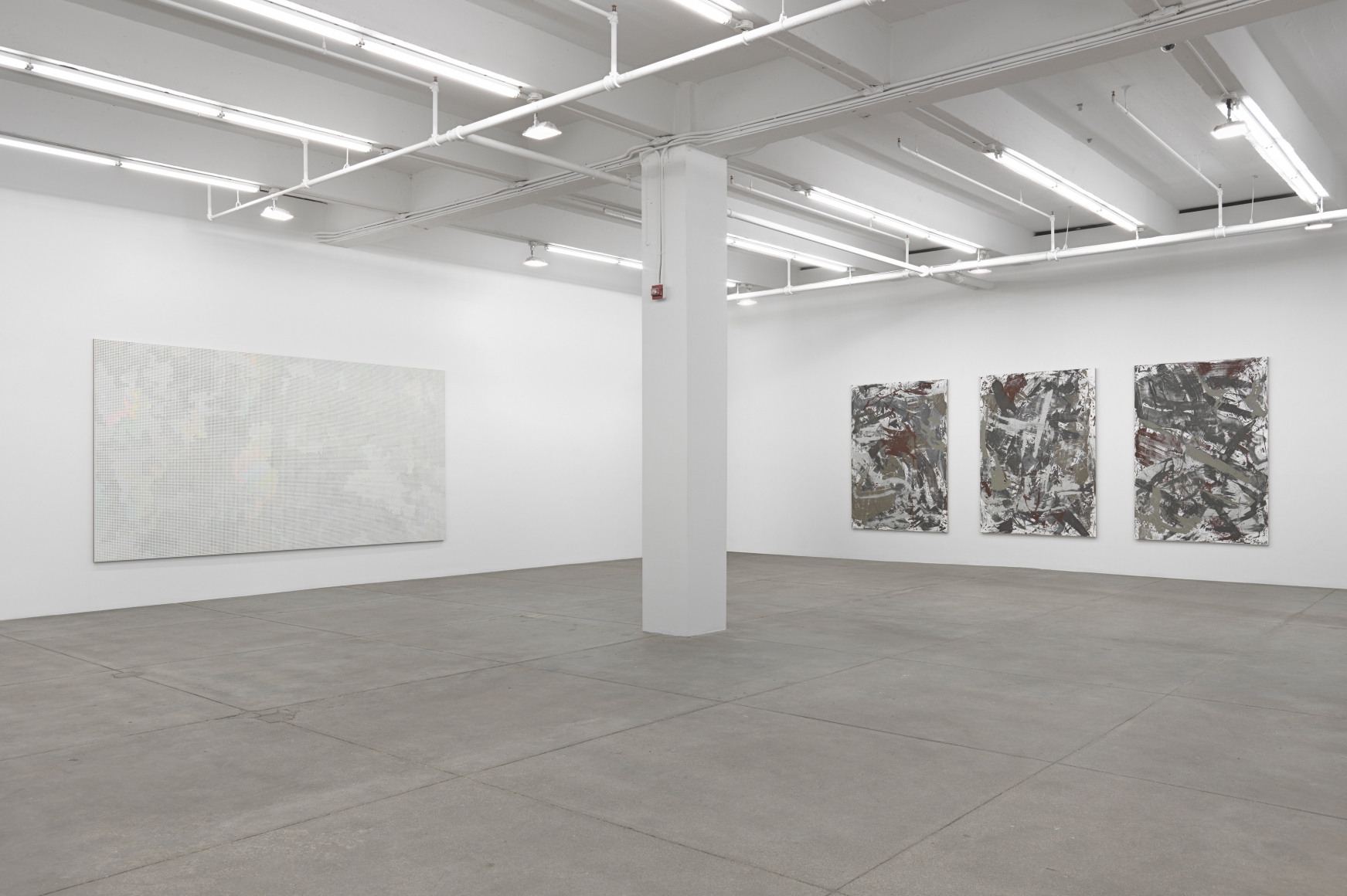 Birdwings and Chambered Shells, Andrew Kreps Gallery, New York