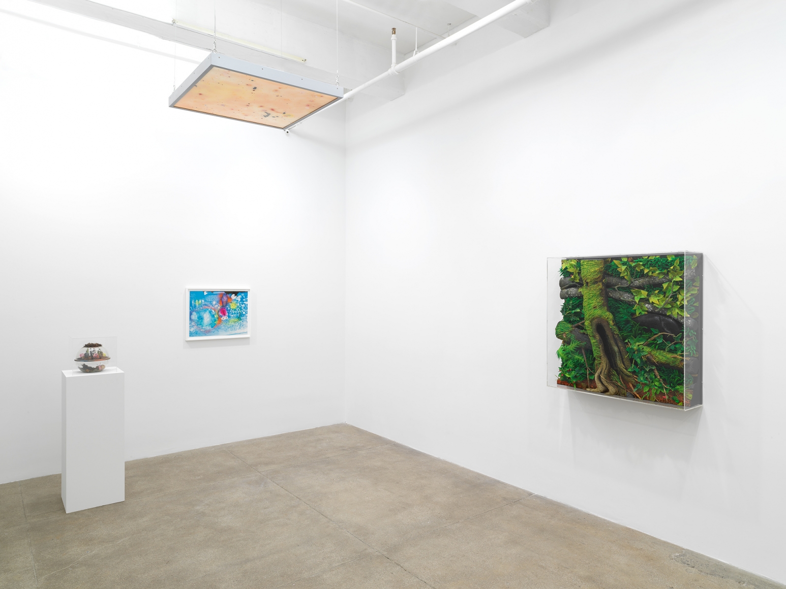 Michel Blazy, Piero Gilardi, Tetsumi Kudo, Anicka Yi, Andrew Kreps Gallery, New YorkOctober 27 - January 6, 2018