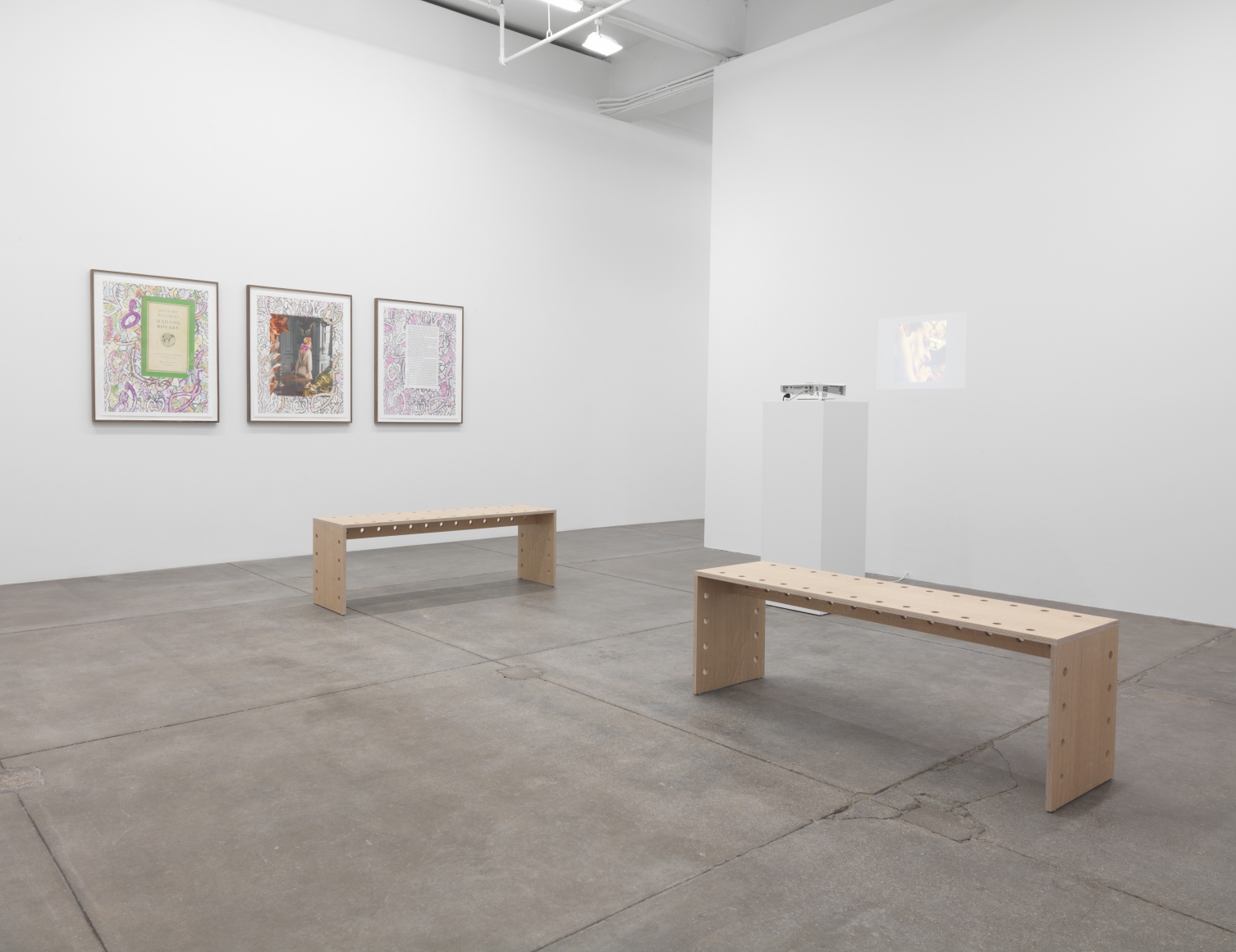 Gustave 2014..., Andrew Kreps Gallery, New York