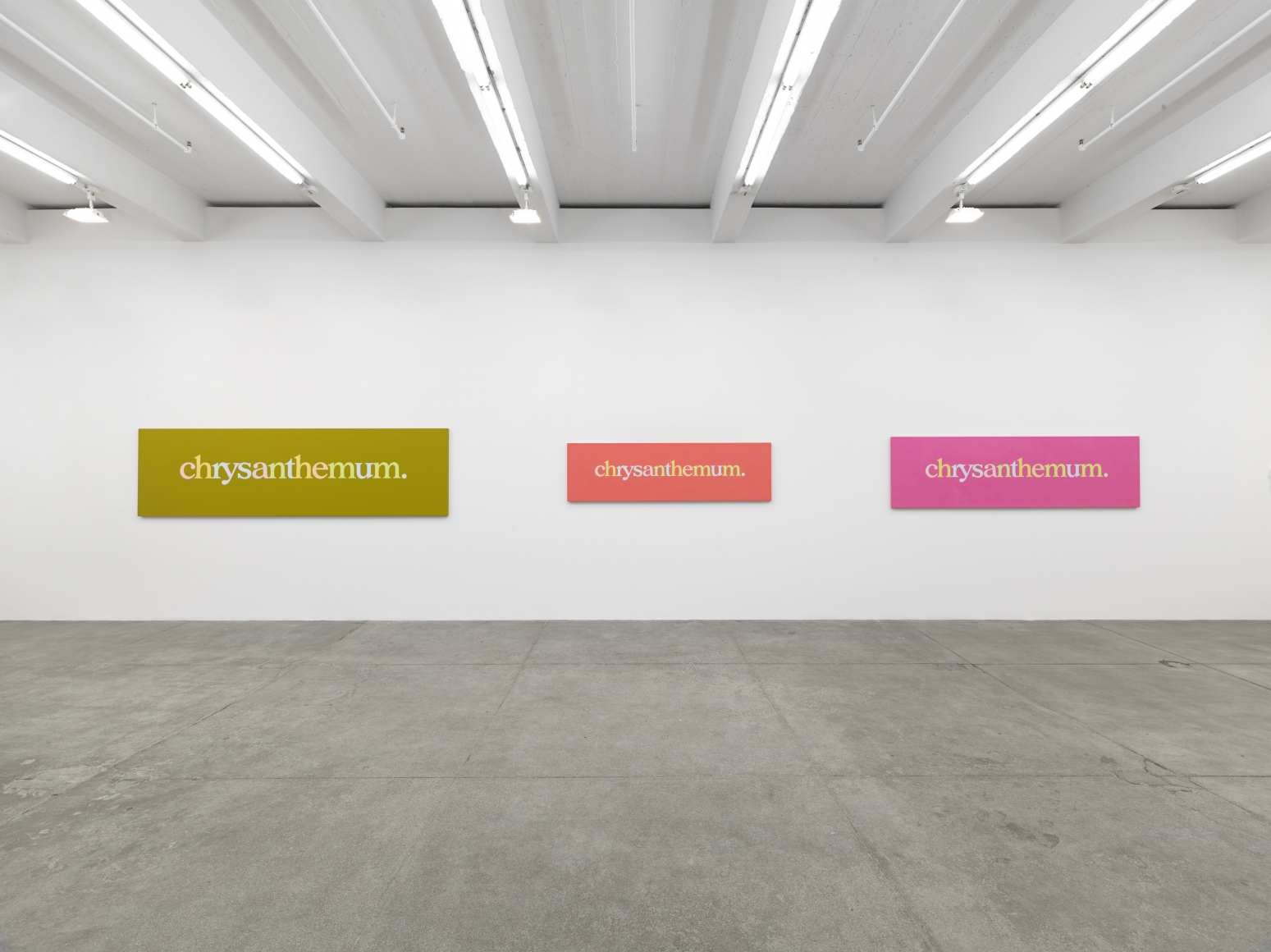 Supercallefragelistic–expiallidocious! (Universal Color, Part I), Andrew Kreps Gallery, New York