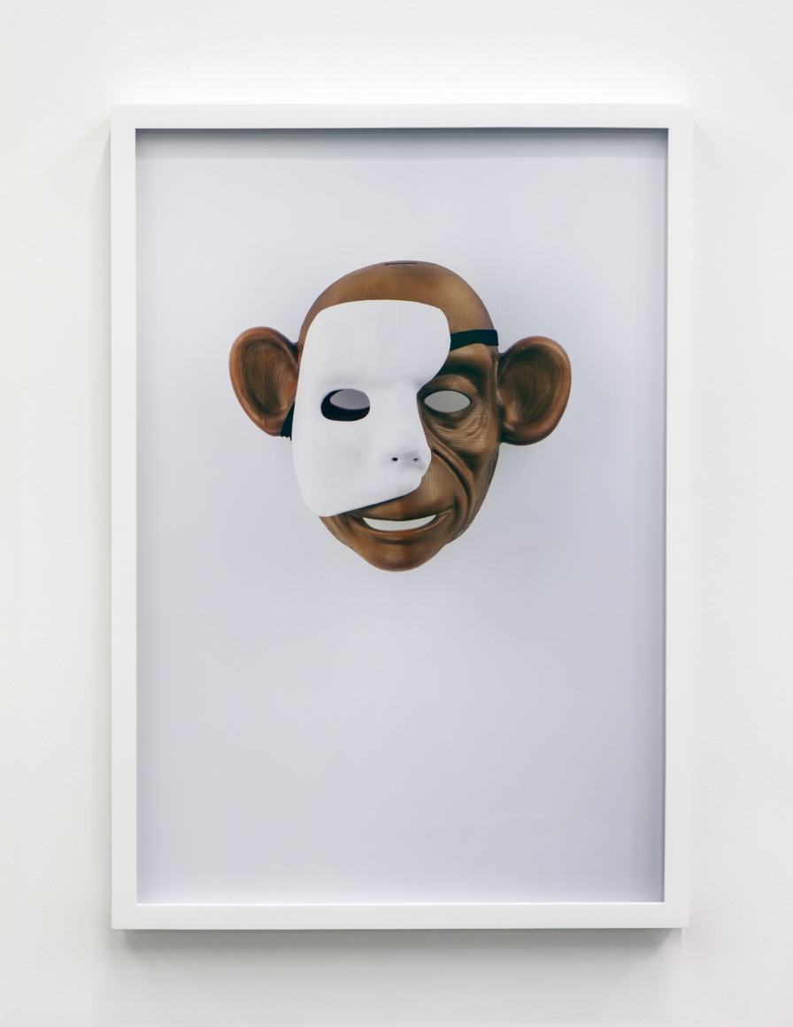 Jamie Isenstein Masks Wearing Masks (Monkey Phantom), 2015