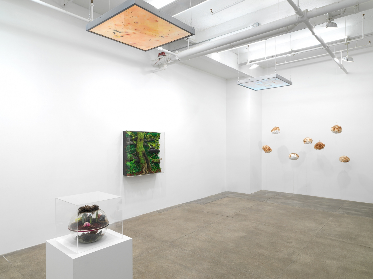 Michel Blazy, Piero Gilardi, Tetsumi Kudo, Anicka Yi, Andrew Kreps Gallery, New YorkOctober 27 - January 6, 2018