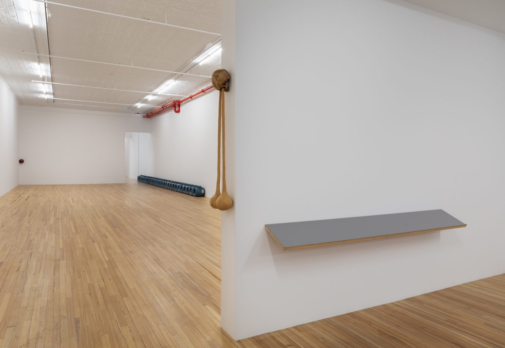 Exhibition view.