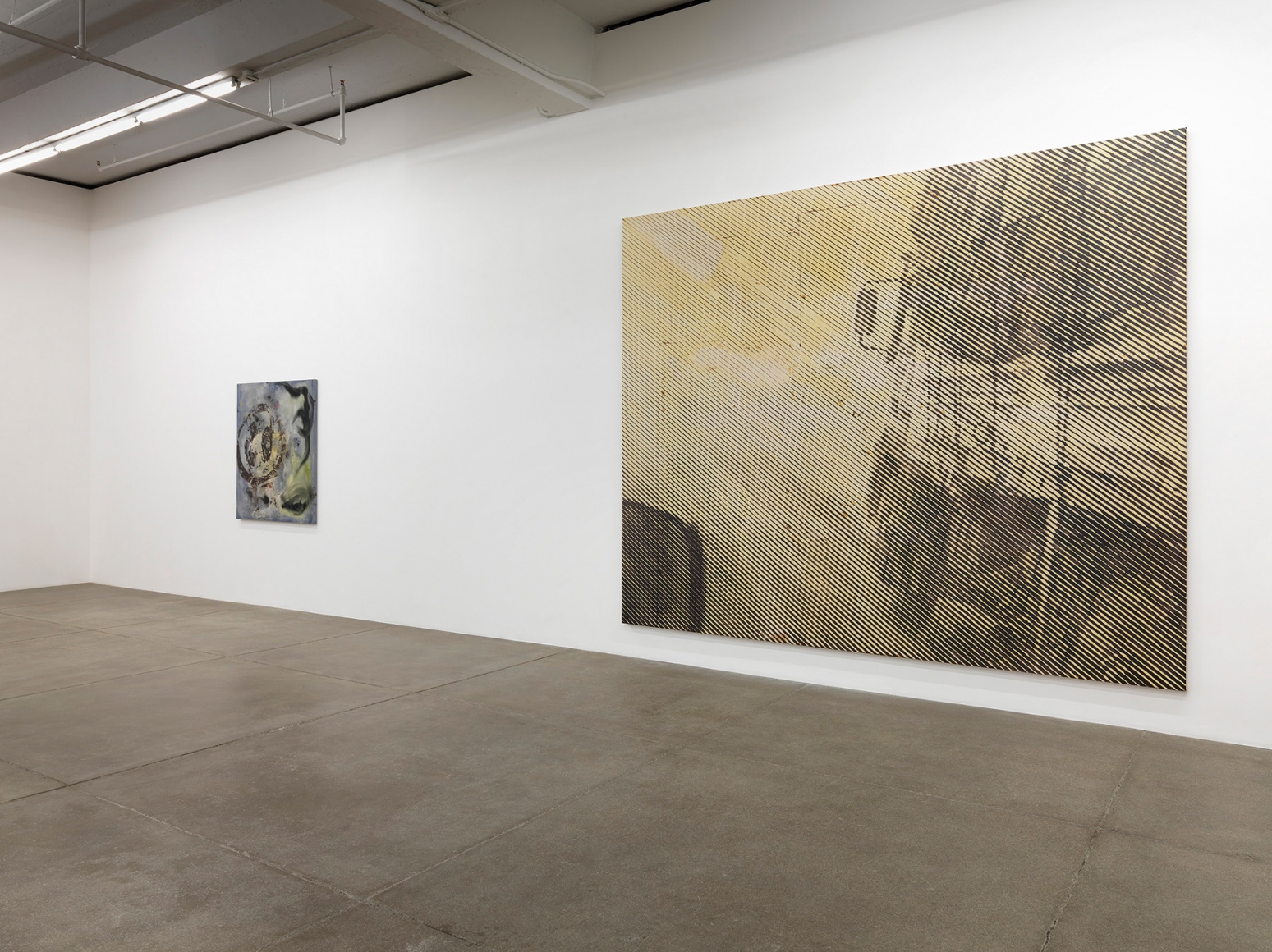The Deedle Eye, Andrew Kreps Gallery, New York, November 4 - December 23, 2016