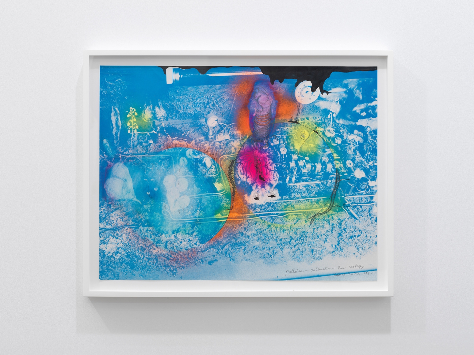 Tetsumi Kudo Pollution - cultivation - new ecology, 1975