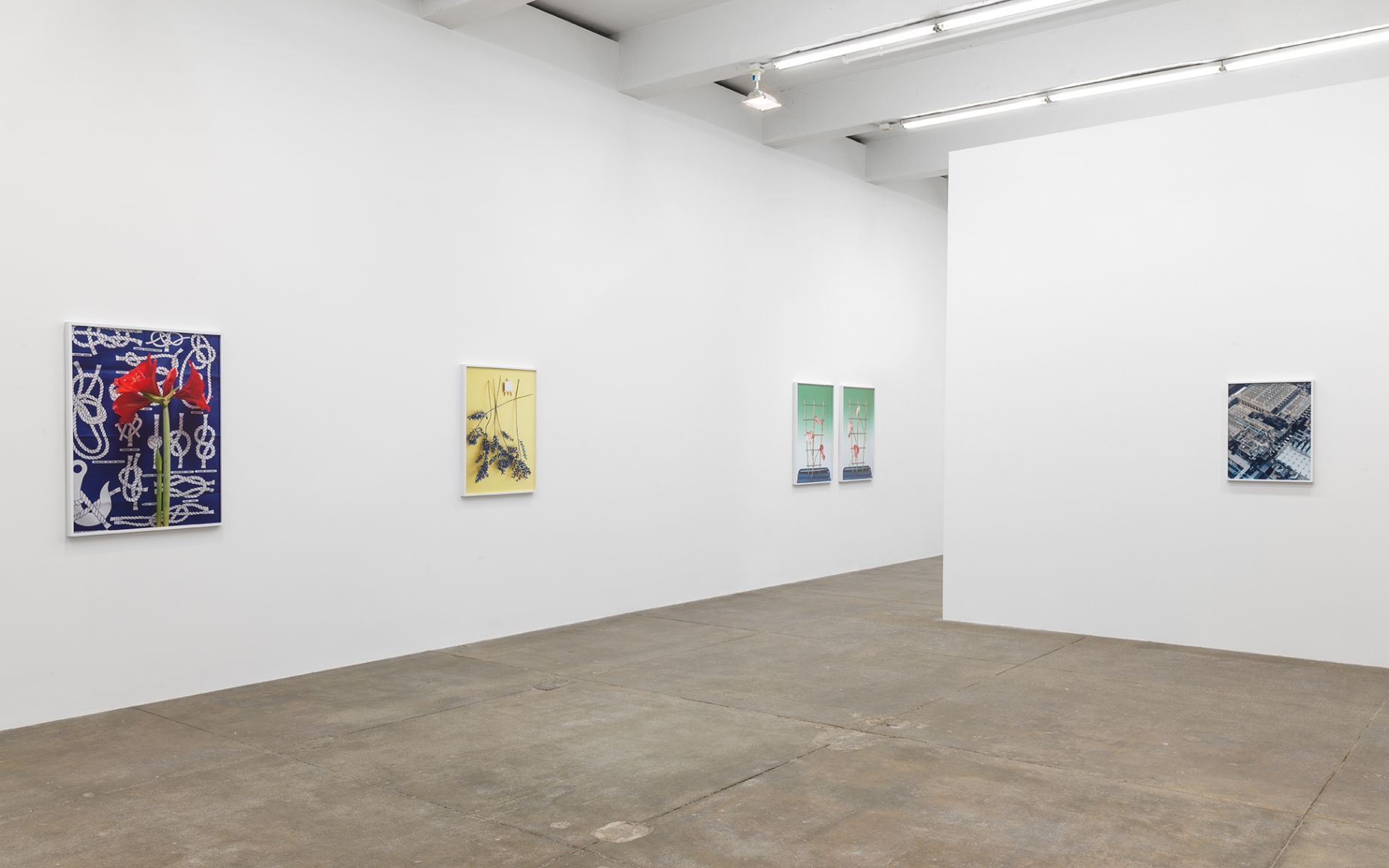 Knots, Andrew Kreps Gallery, New YorkApril 7 - May 12, 2018