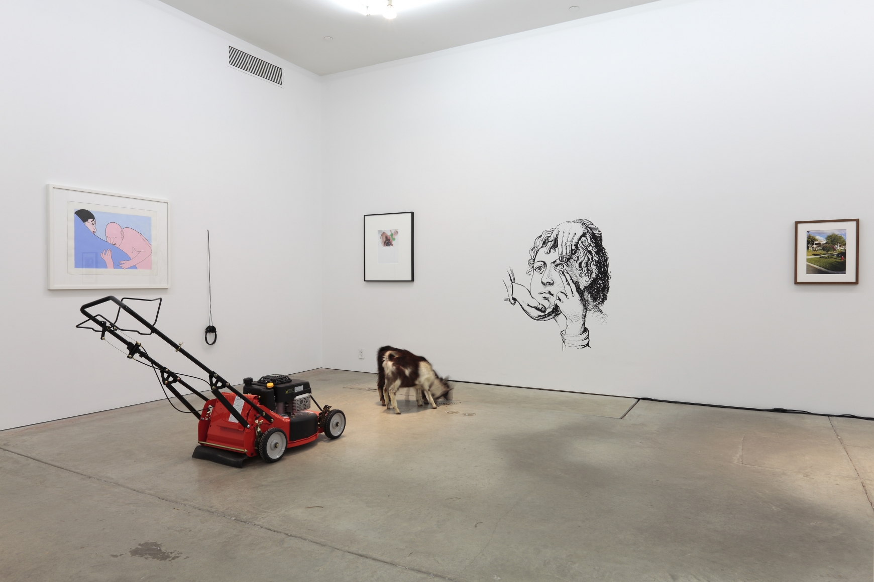 Darren BaderChad Ochocinco, Andrew Kreps Gallery, New YorkFebruary 26 - March 26, 2011