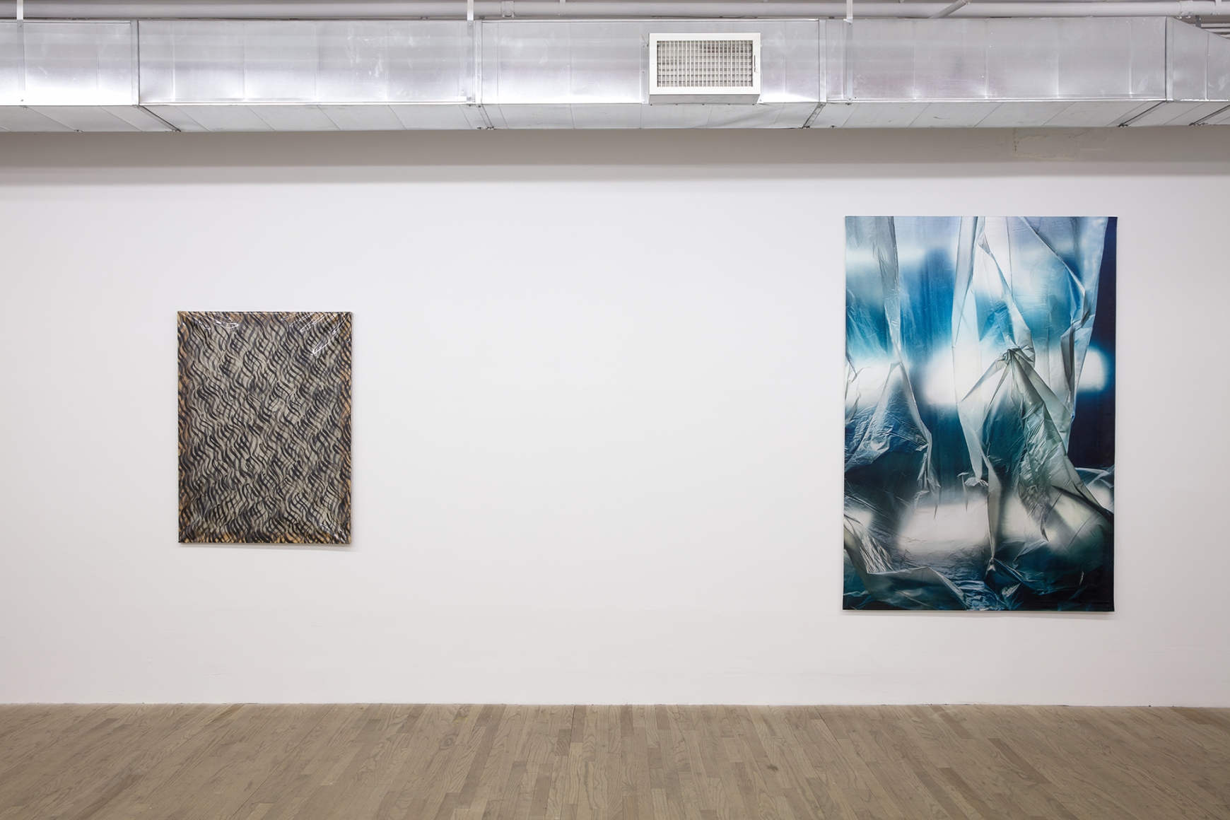 Carla Accardi and Elisa Sighicelli, December 4, 2020 - January 16, 2021, 55 Walker Street