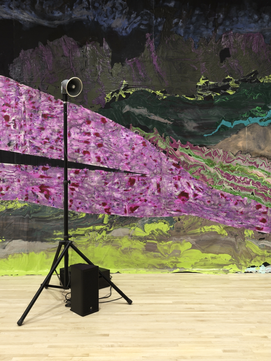 New Work: Rodney McMillian, San Francisco Museum of Modern Art