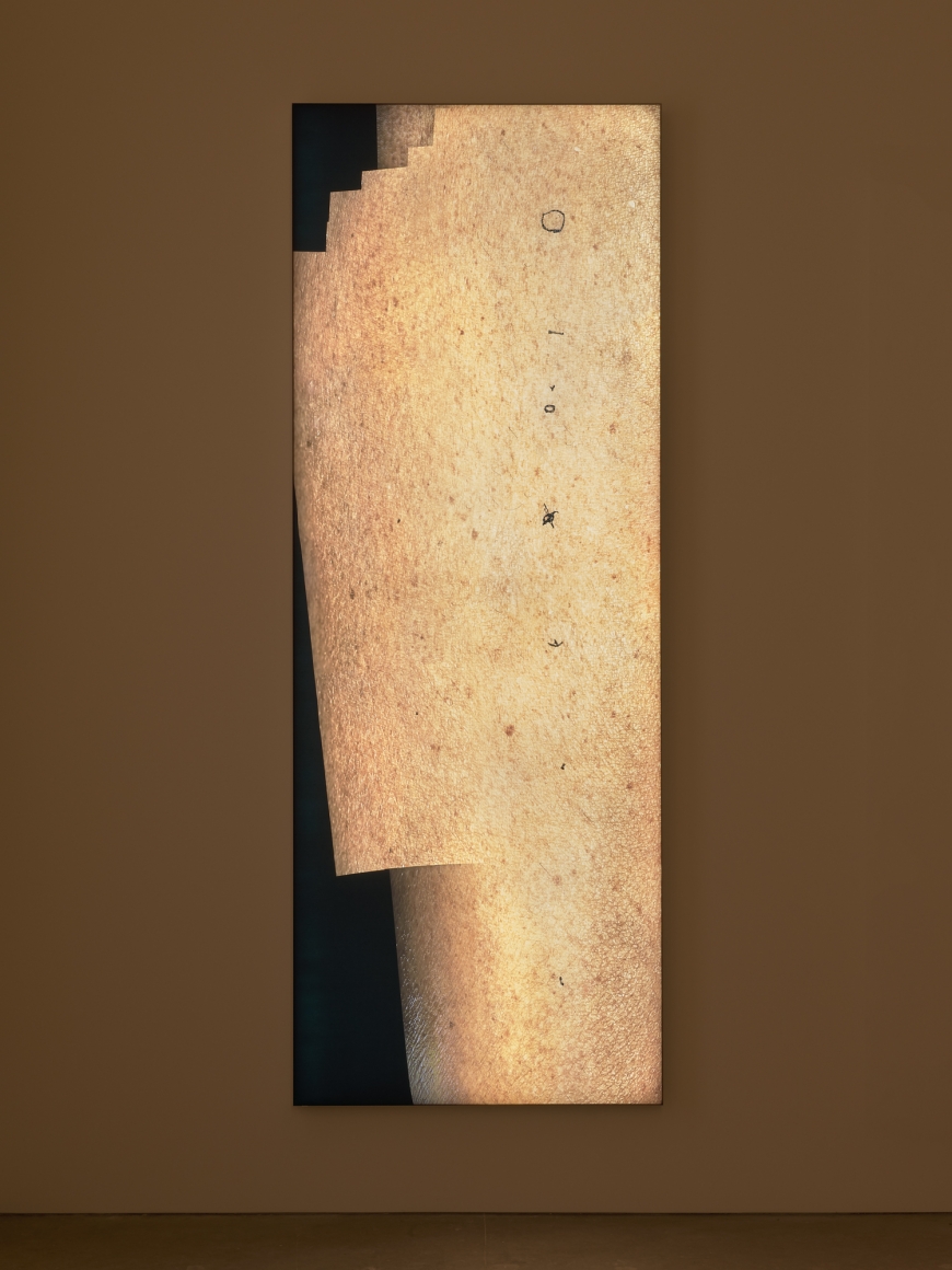 Seth Price, Bob