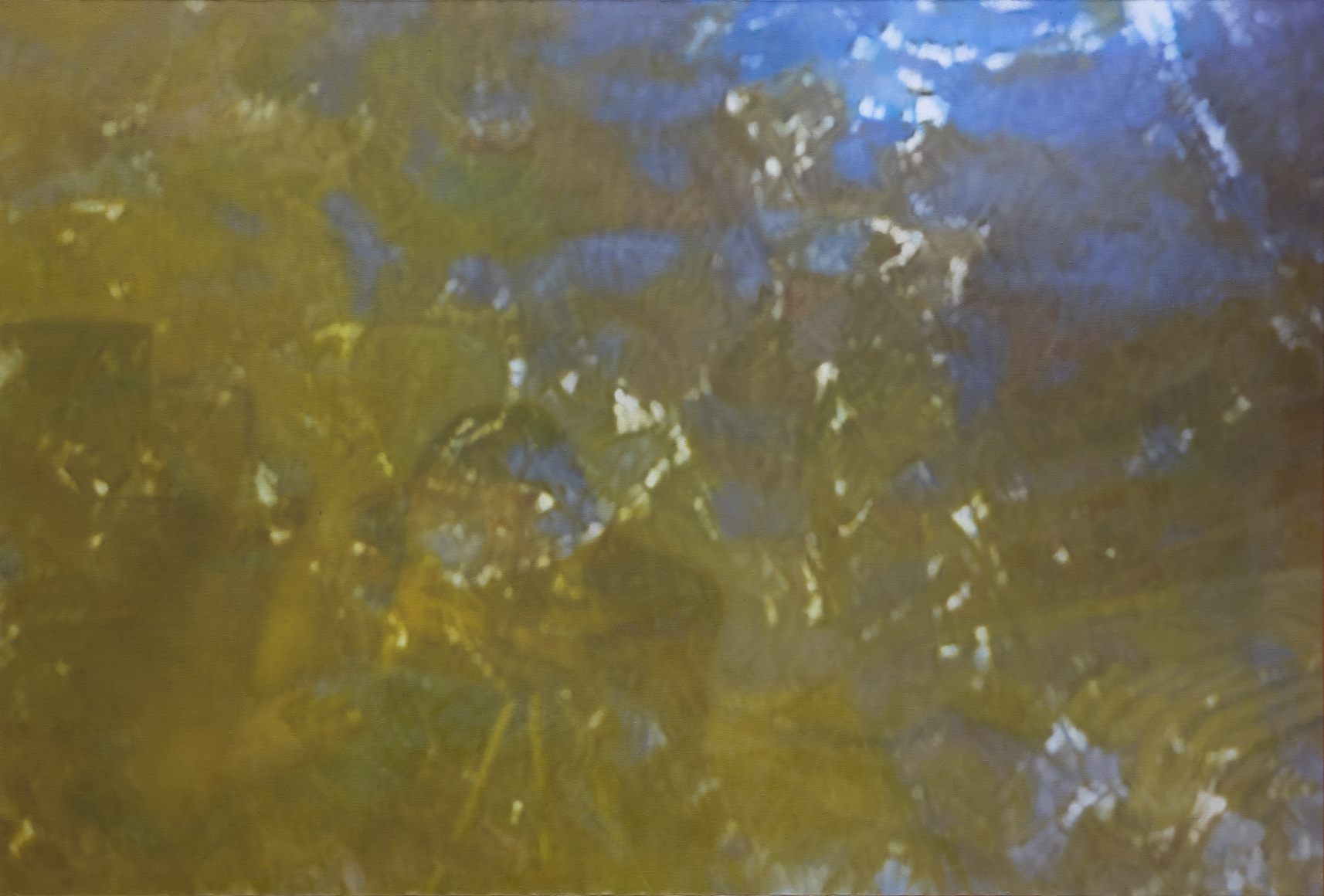 Xie Nanxing, Untitled (No.1)