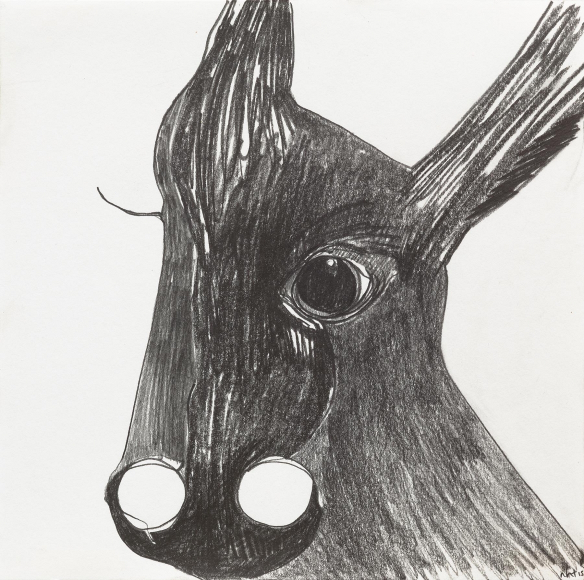 Nicola Tyson, Donkey Nostrils