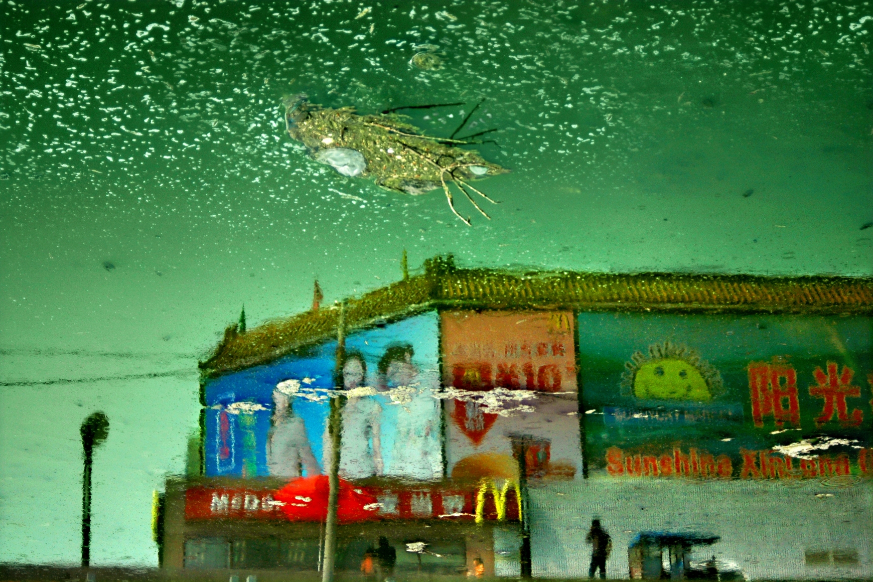 HAN BING Artists KAI Gallery