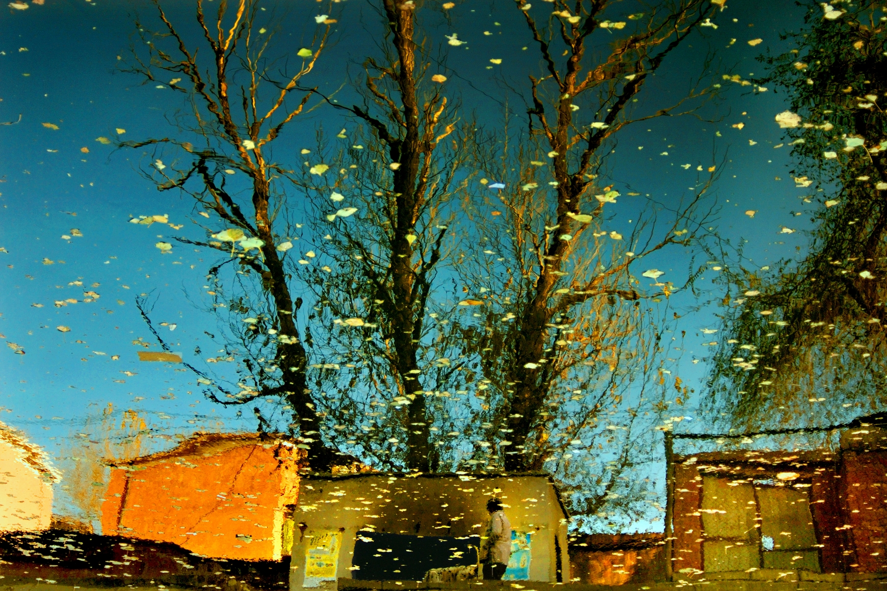 Han Bing Artists Kai Gallery