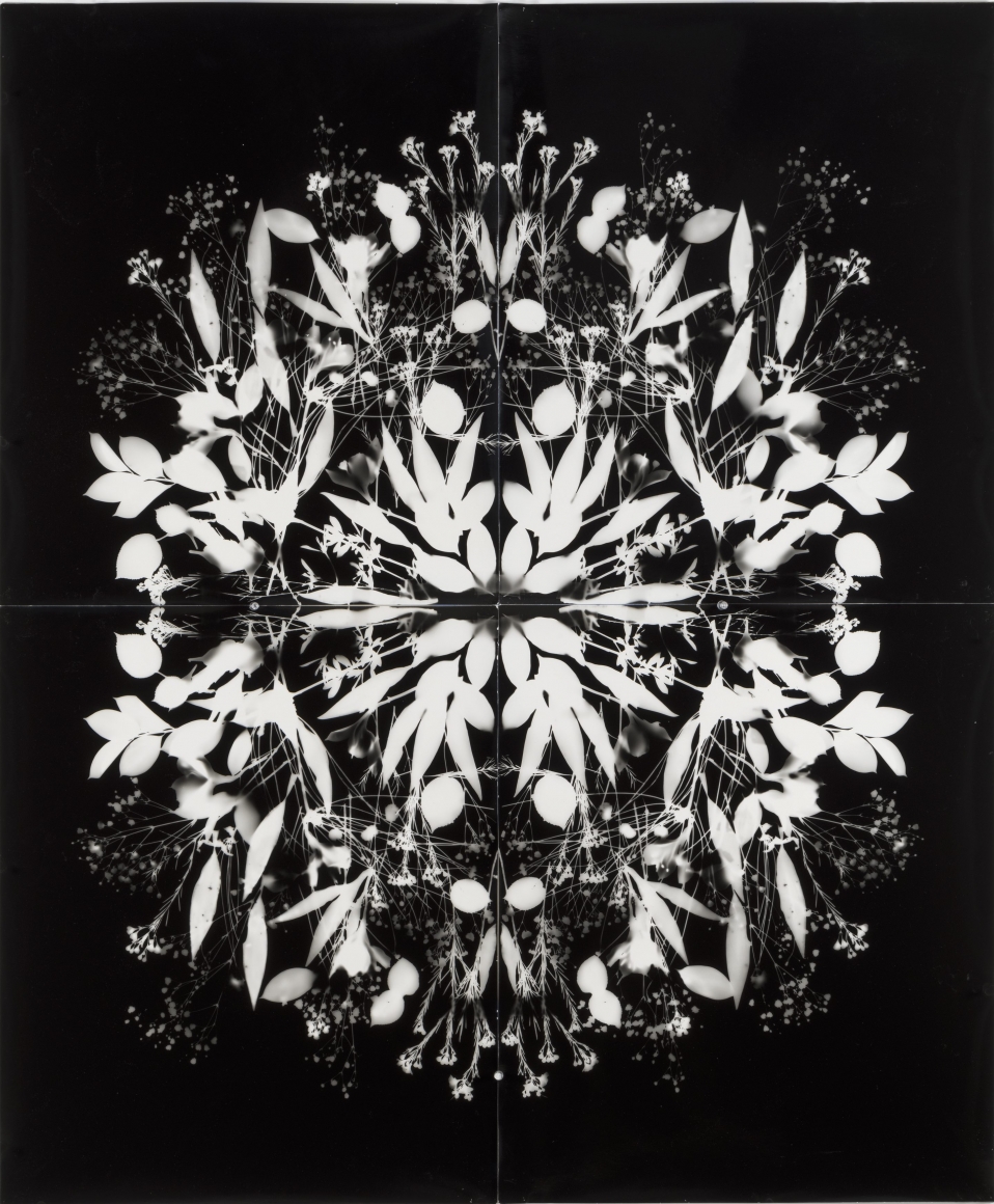 Wendy Small, Remedy (Westside), 2017
