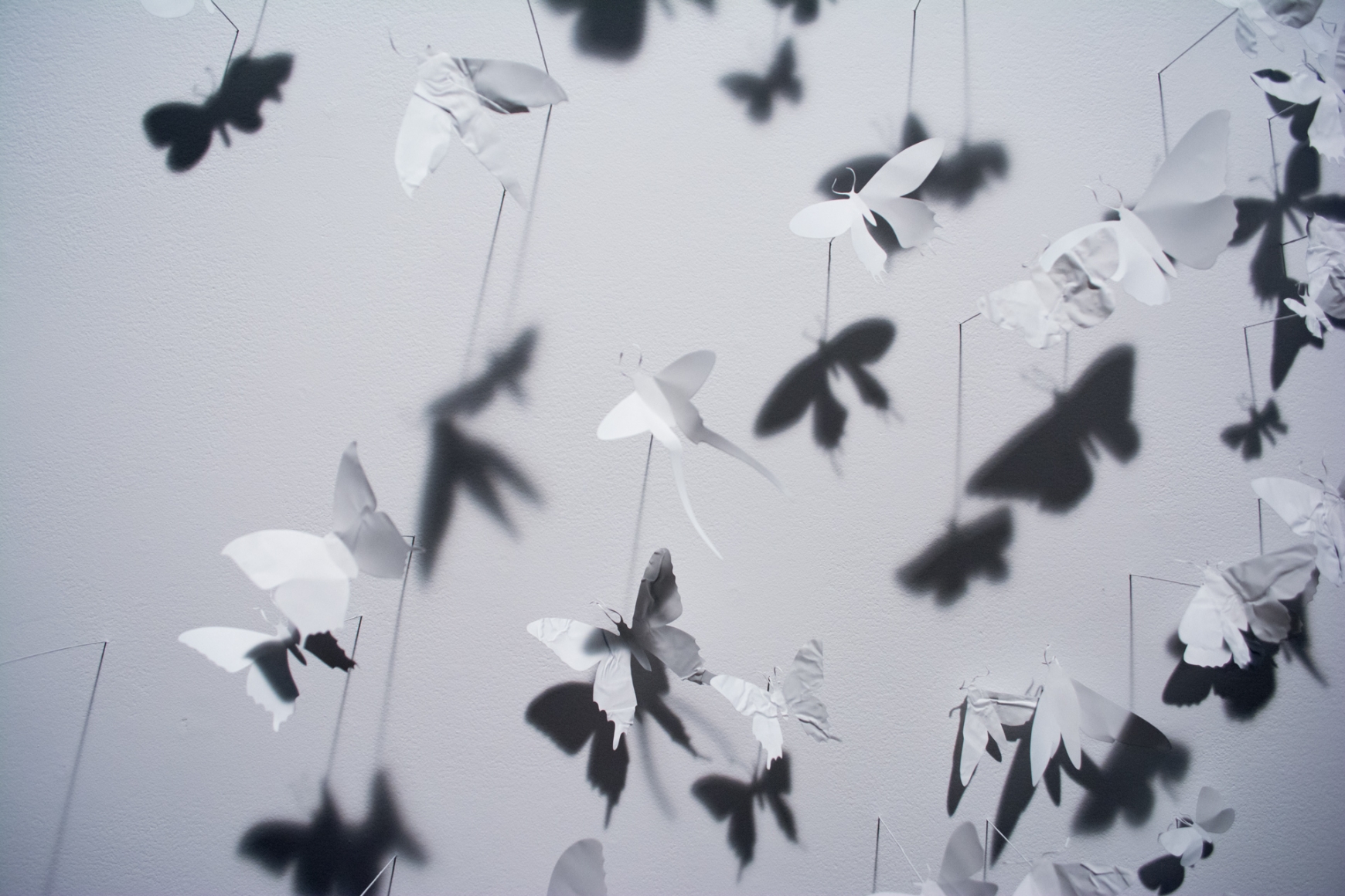 Paul Villinski, Ghost, detail, 2014