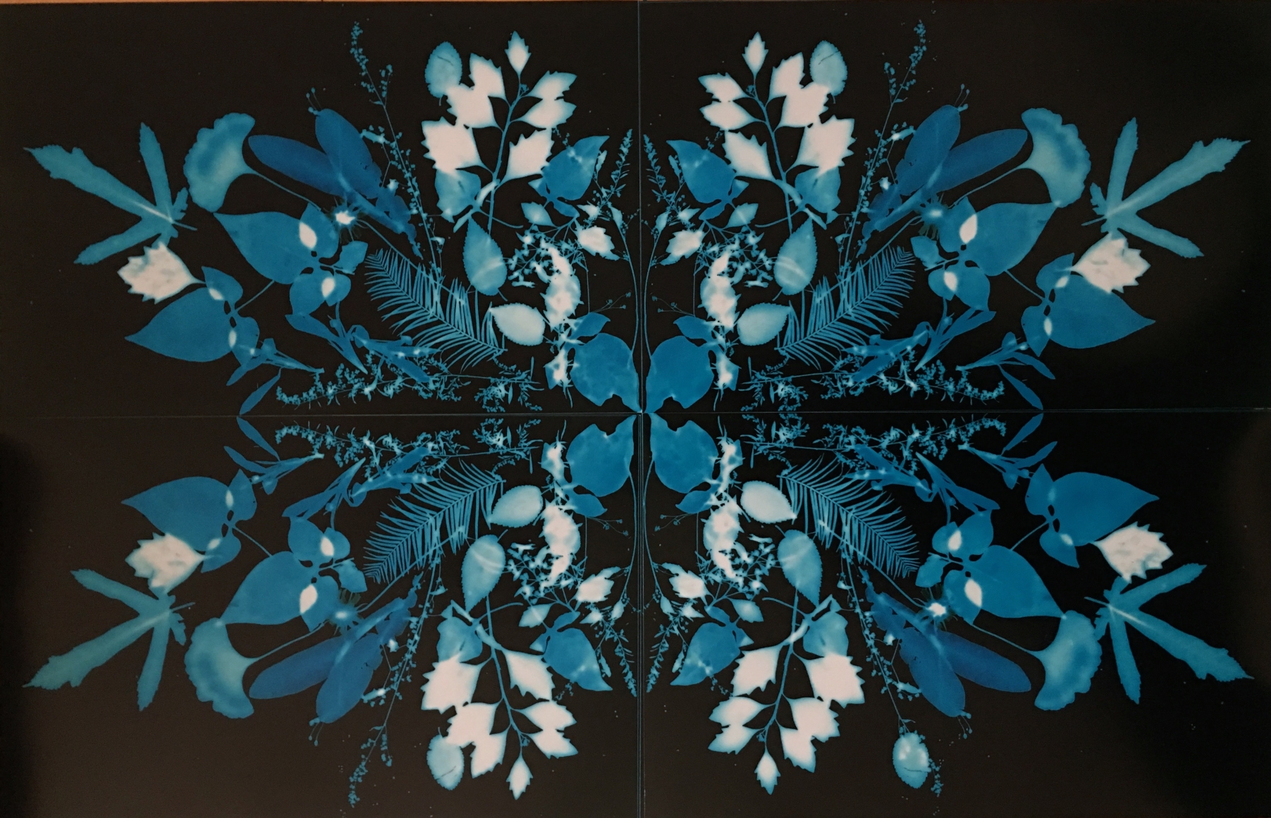 Wendy Small, Remedy, 2017