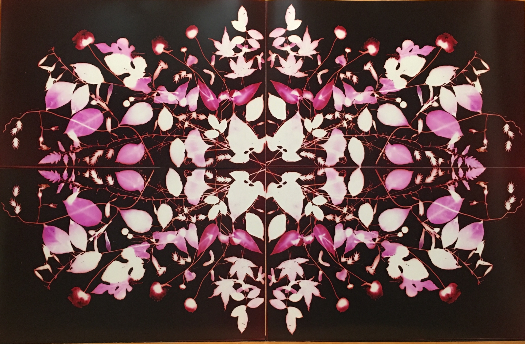 Wendy Small, Remedy, 2017