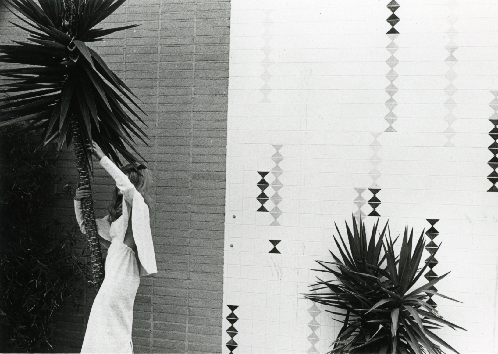 untitled (from the Los Angeles series), 1972