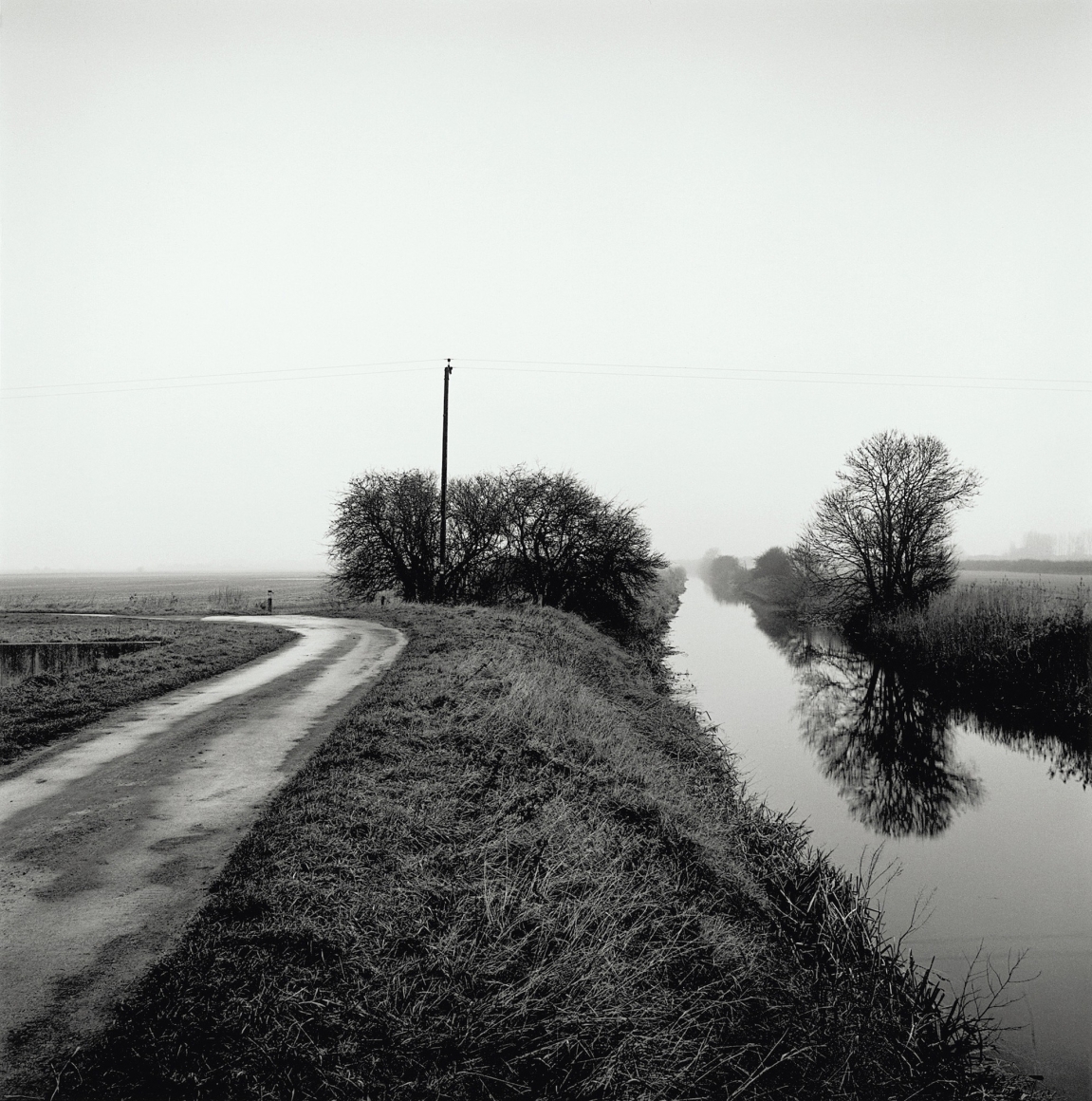 Cherry Corner, from the series Drained, 2017