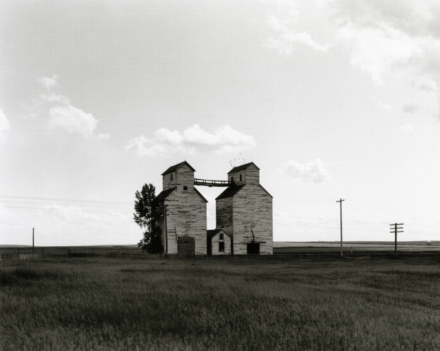 Wheelock, 1981 gelatin silver print