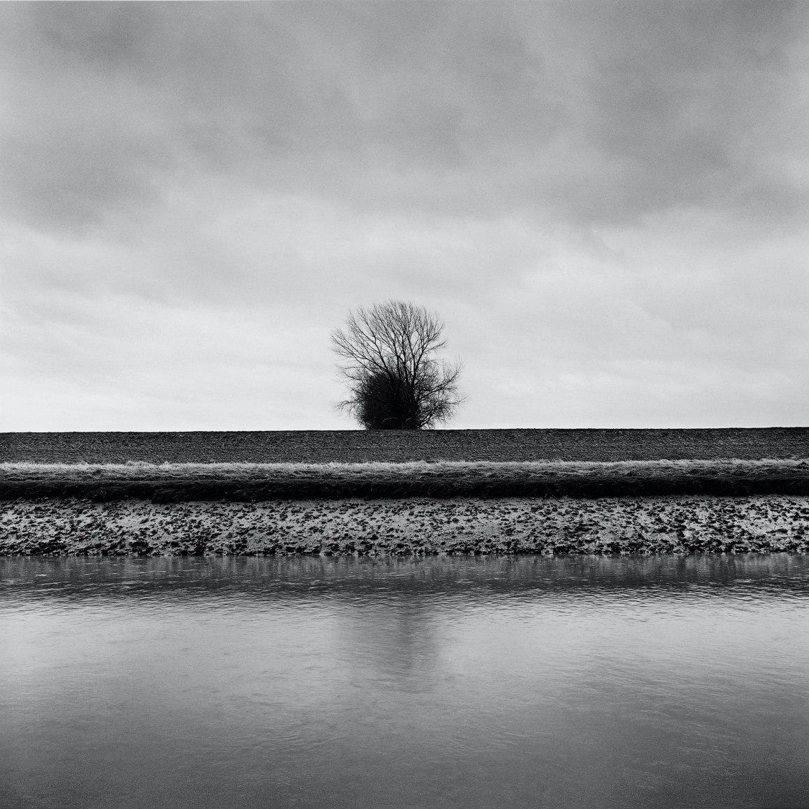 Southbank, from the series Farmed, 2014