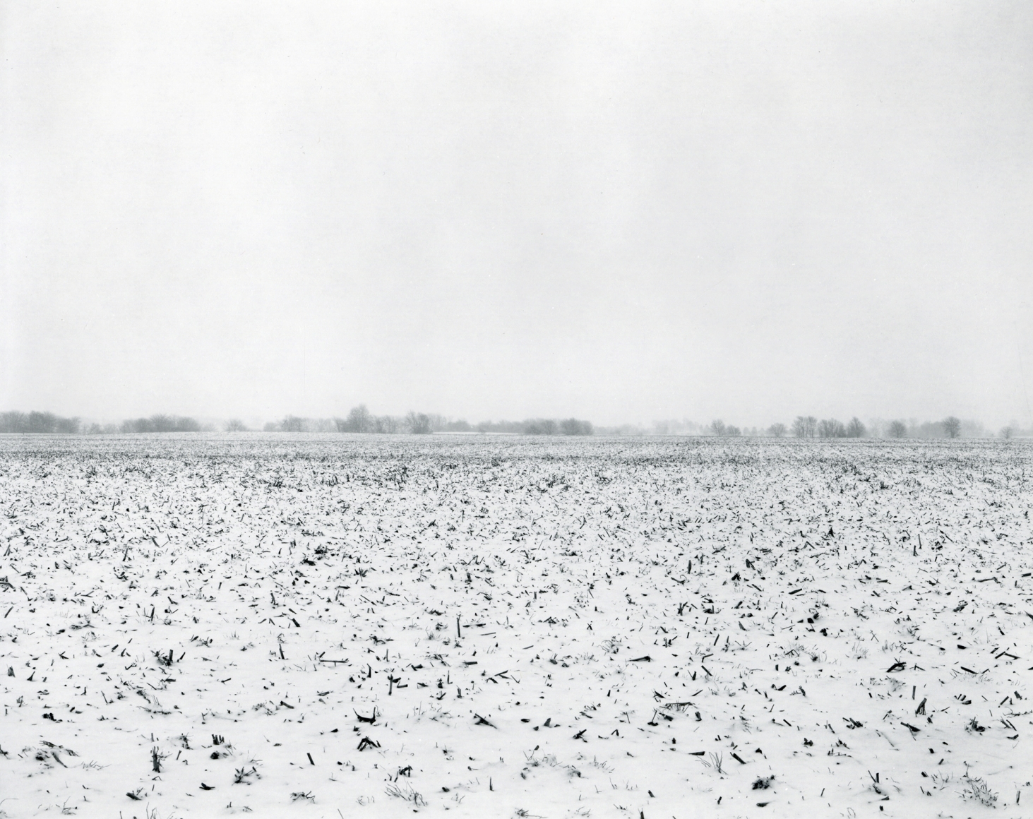 Rhondal McKinney, untitled, Ilinois Landscape