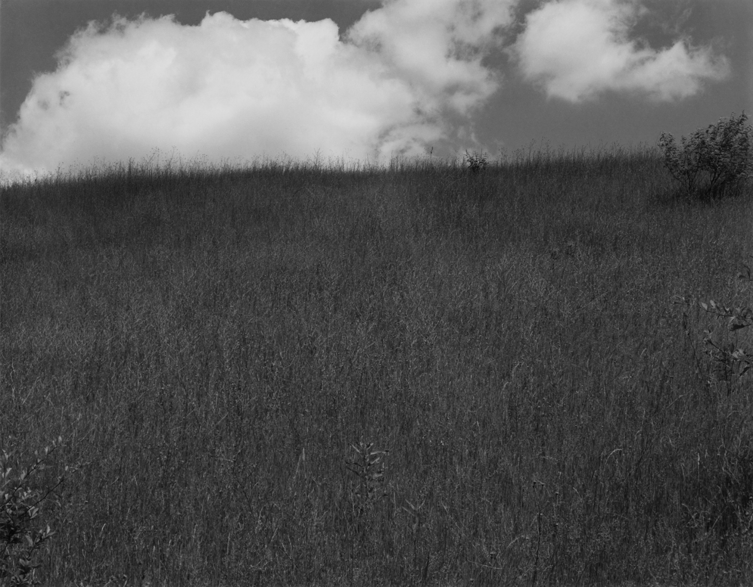 Landscape, Kalamazoo, Michigan, 1970, from Portfolio II
