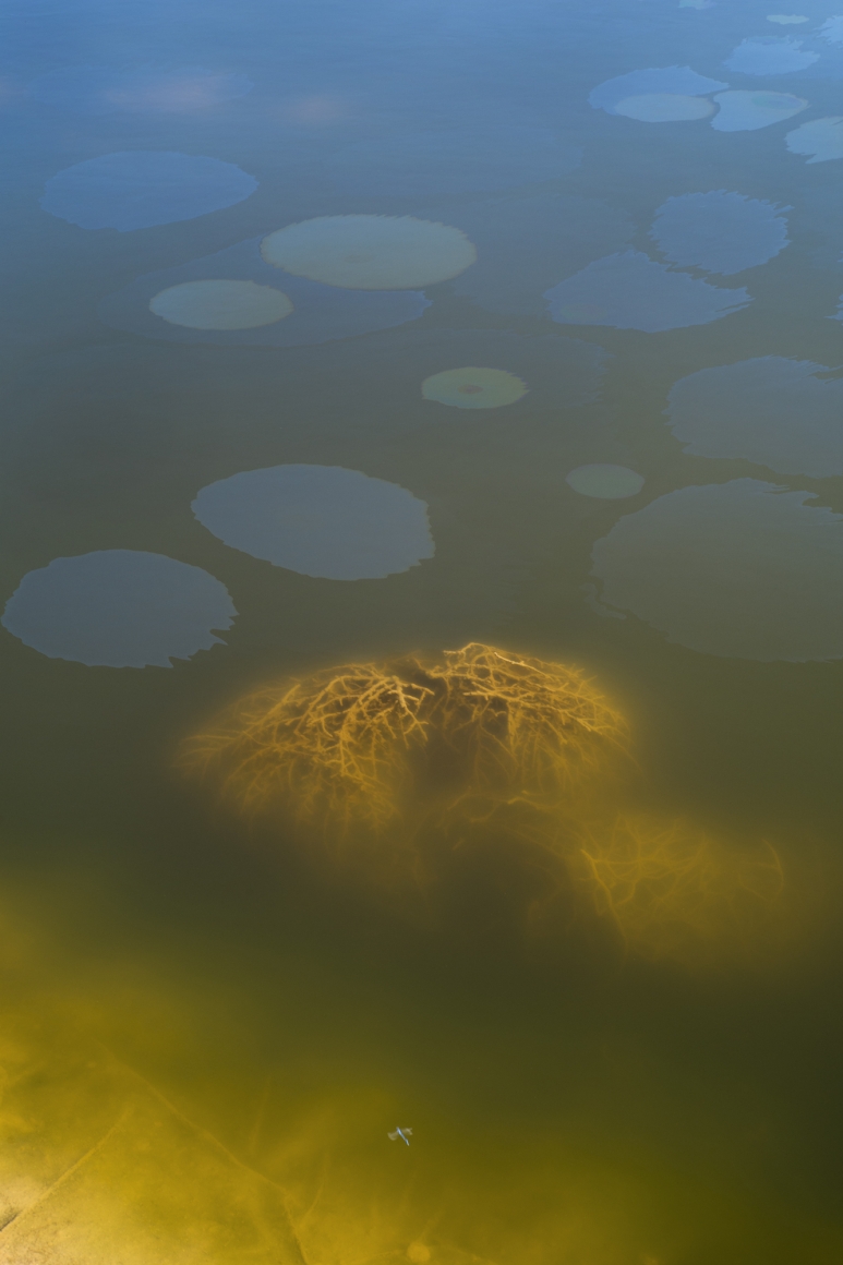 Fracking Pond: Midland, Texas. , from the series, Beneath the Dirt of Great Men