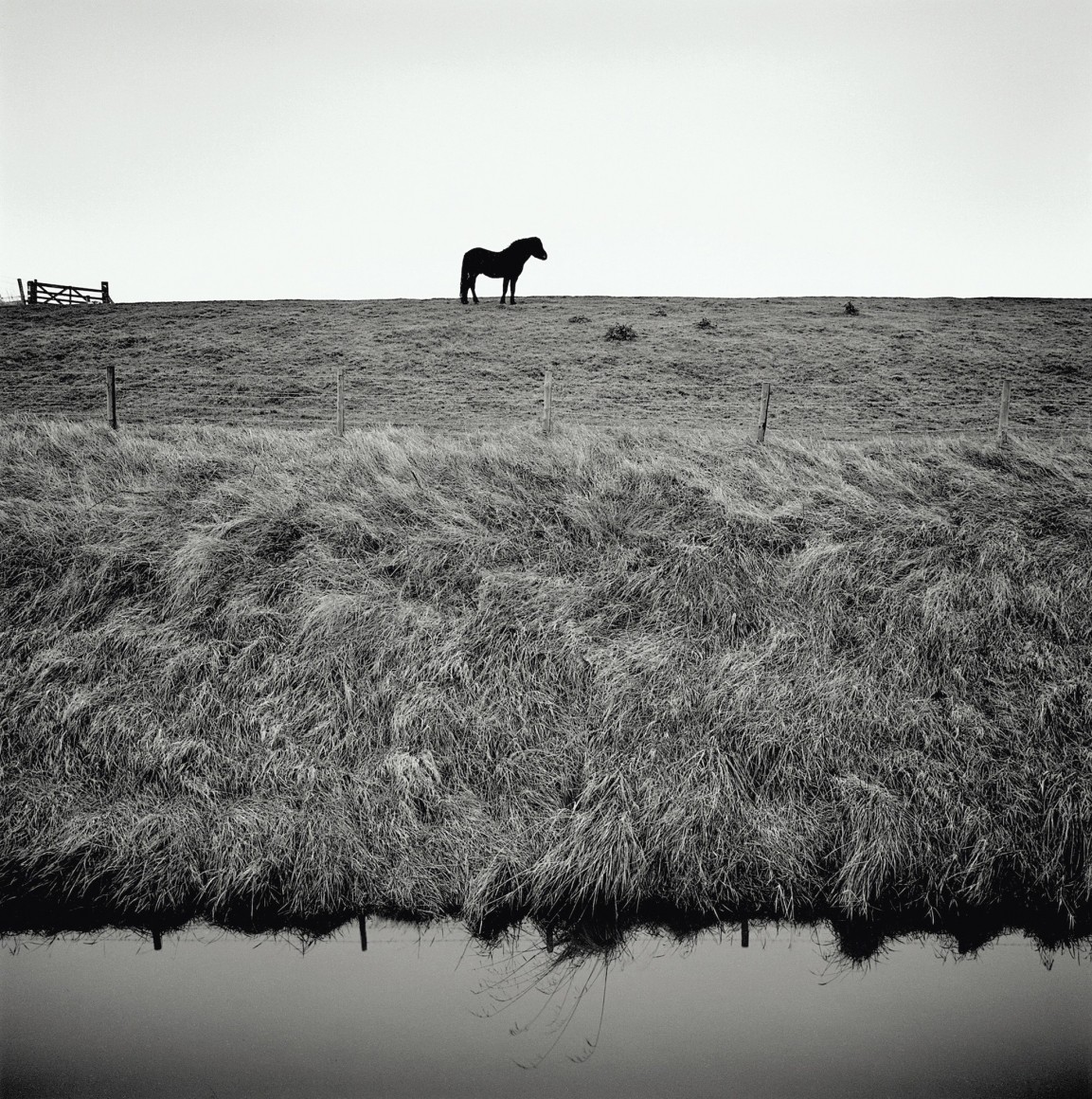 Sea Bank, from the series Drained, 2016