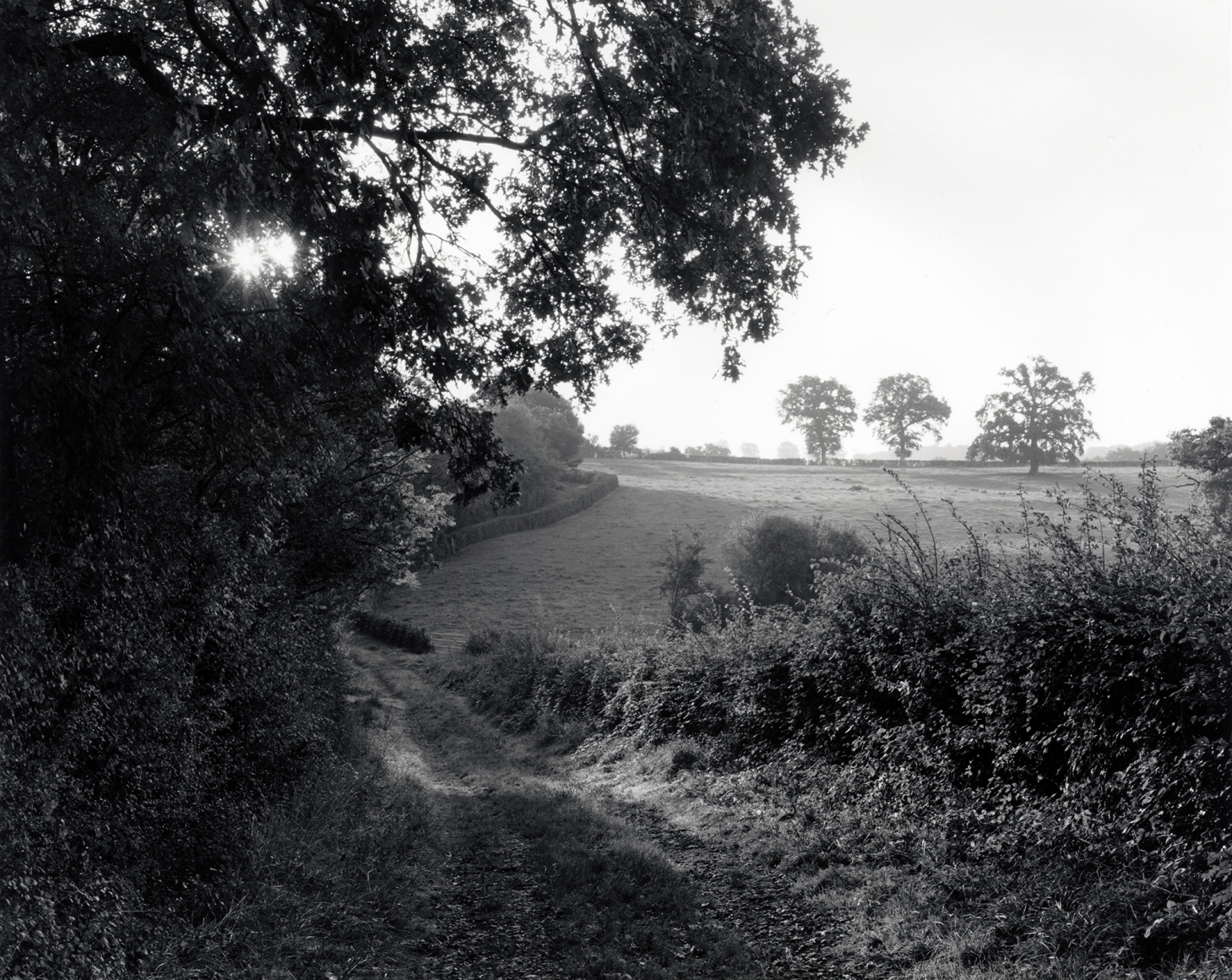 Saizy, France, #8, 2014, gelatin silver print