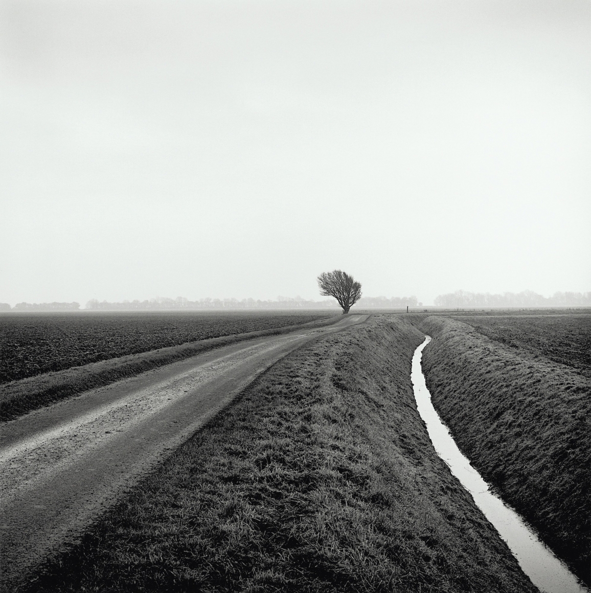 Hurn's End, from the series Drained, 2016