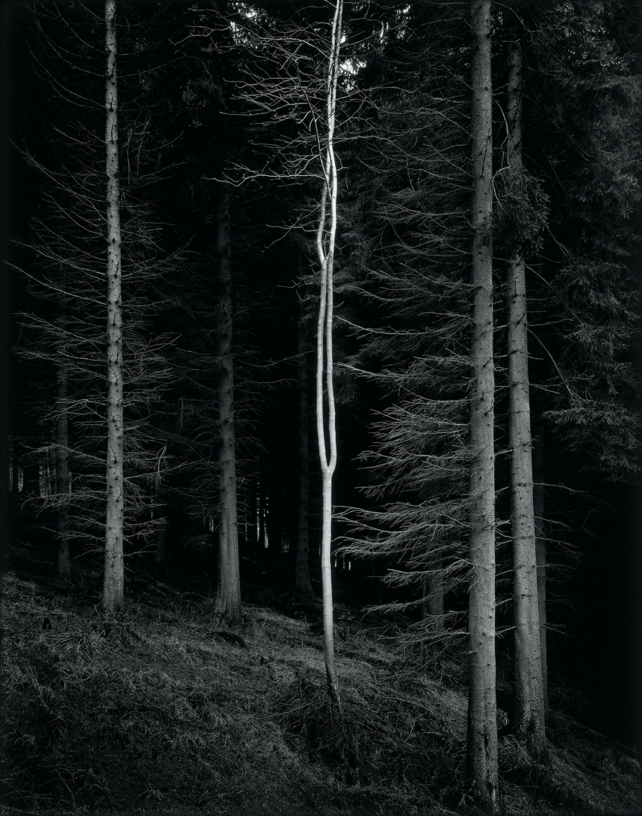 Alien, from the series Truncated, 2007