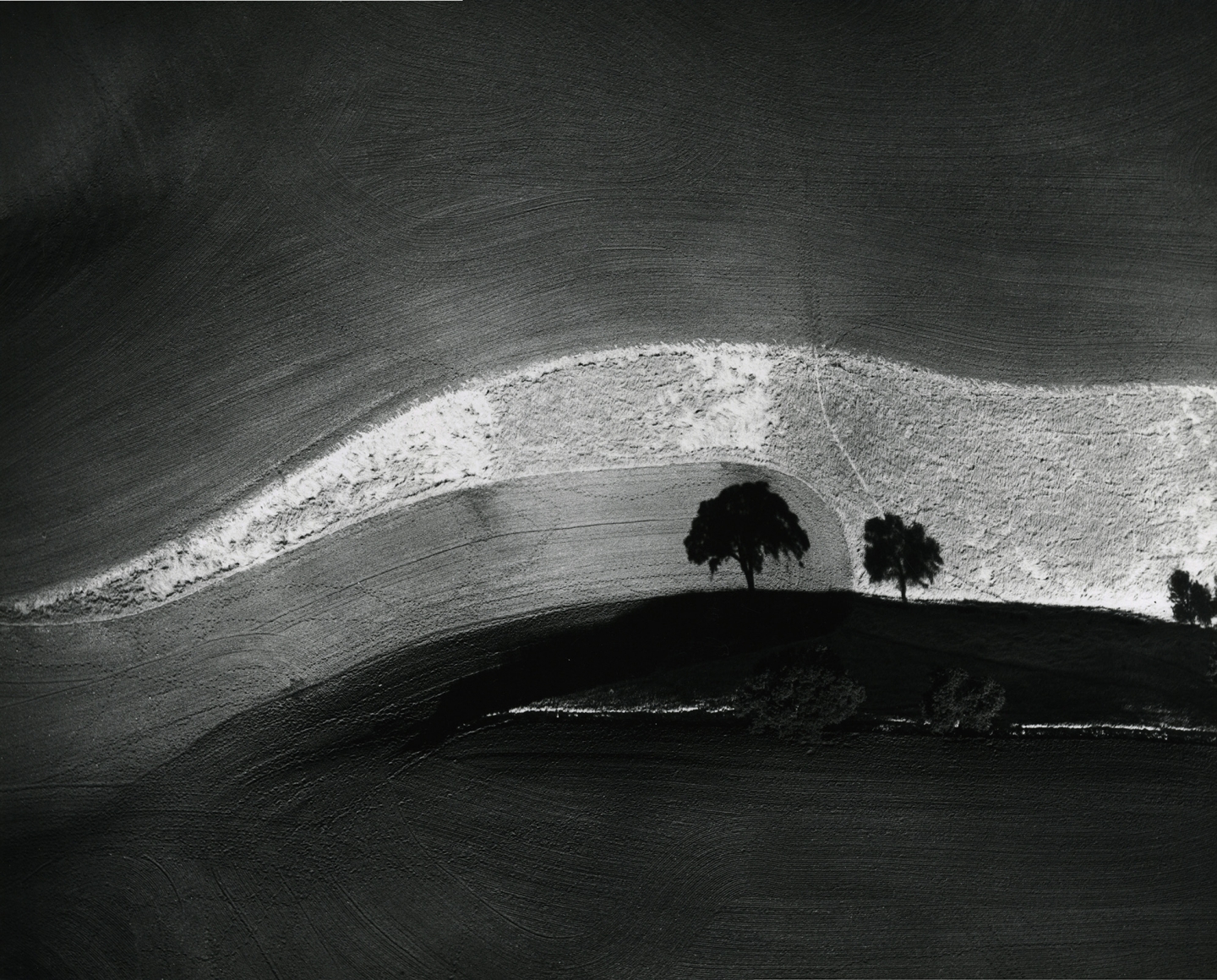 Two Trees on a Hill with Shadows, Paso Robles, CA, 1974