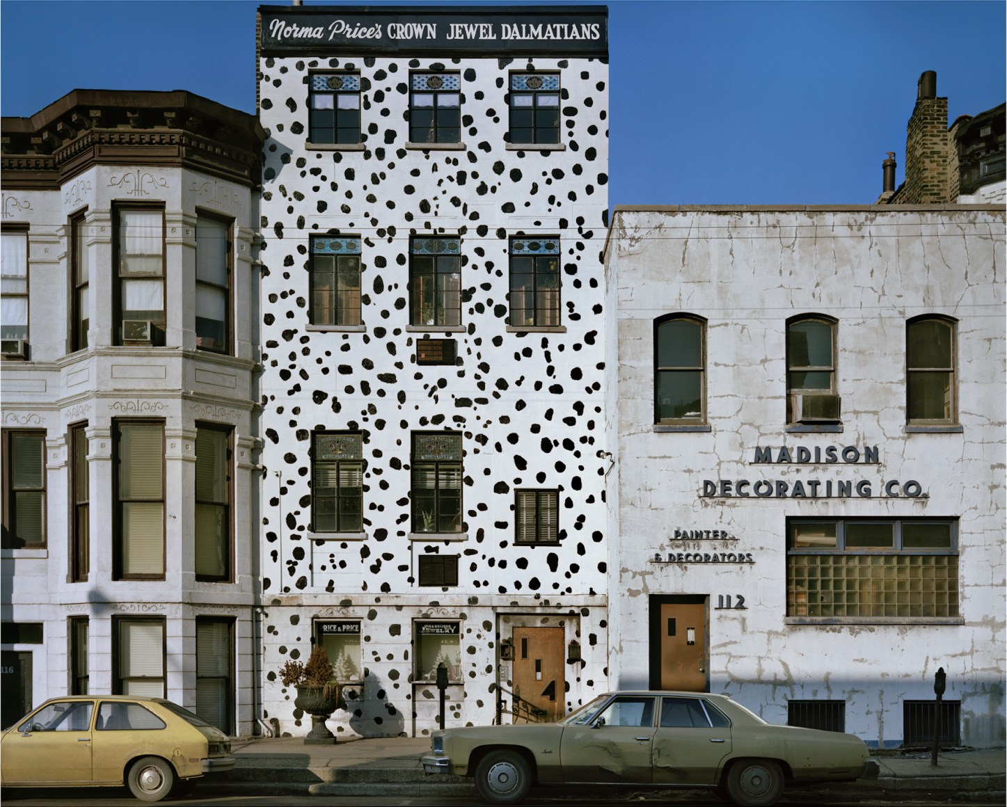 Dalmations, Chicago, 1976, digital chromogenic print