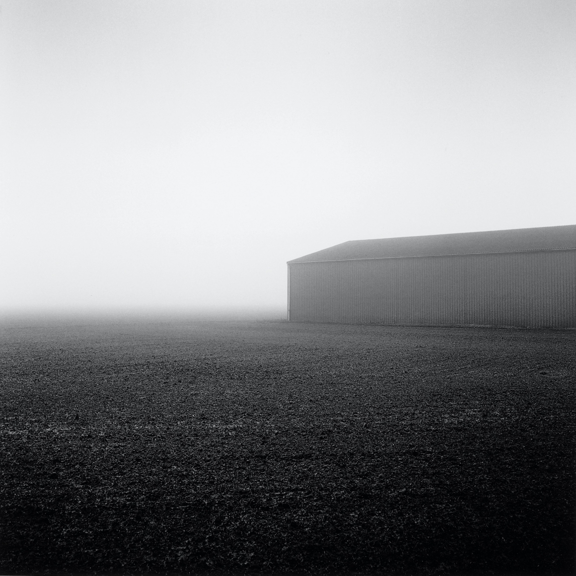Caulton's Farm, From the series, Farmed, 2014