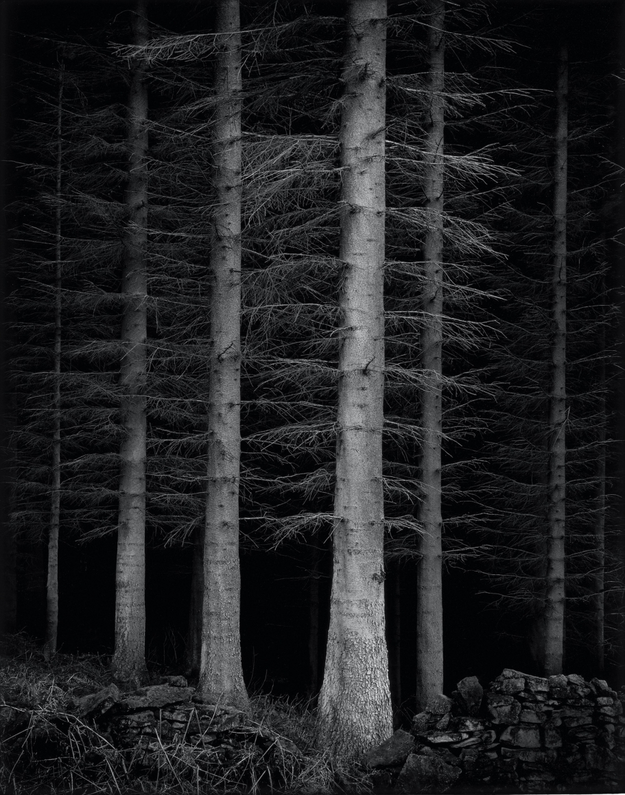Guardian, from the series, Truncated, 2007