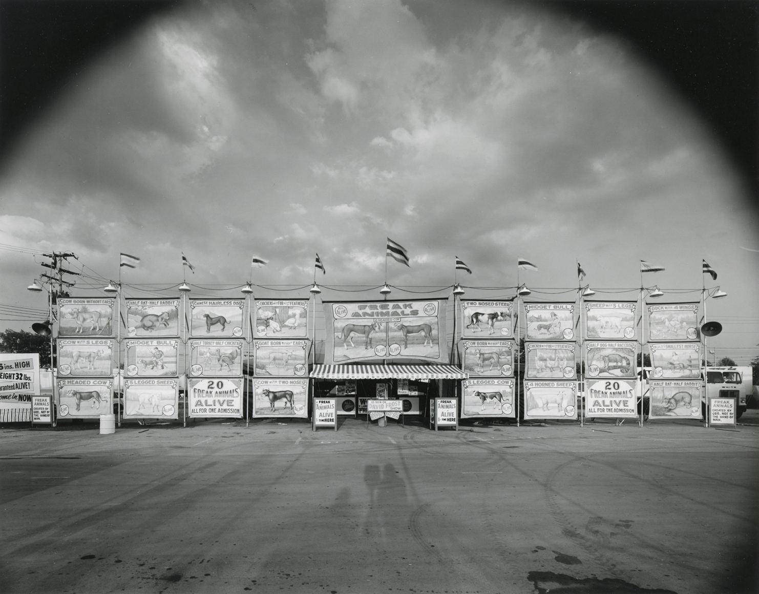 Al Moody's Freak Animal Show, 1975, vintage gelatin silver print