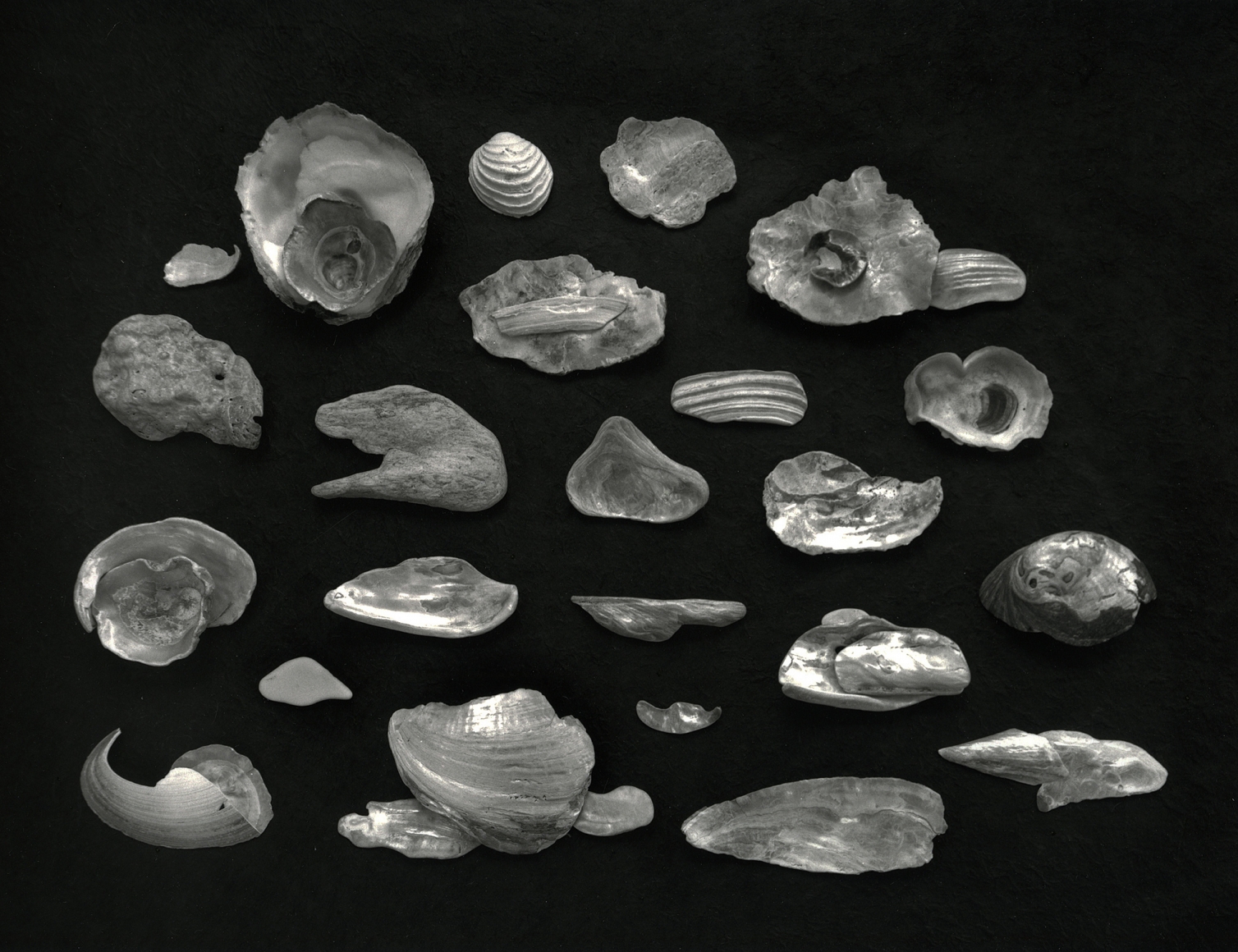 Cloud Study, Cushing Maine, 2004, gelatin silver print