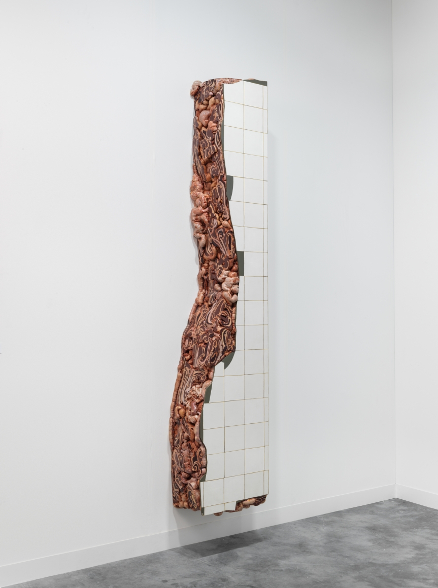 ADRIANA VAREJÃO, Ruina de Charque - Vigario Geral (Vigario Geral Jerked-Beef Ruin), 2002