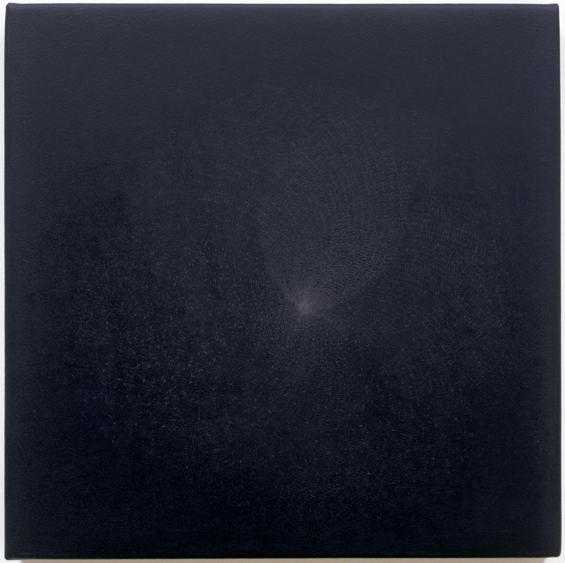SHIRAZEH HOUSHIARY, Touch, 1999