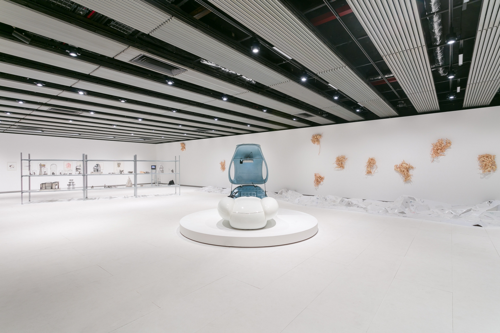 Installation view Hayward Gallery, 2018