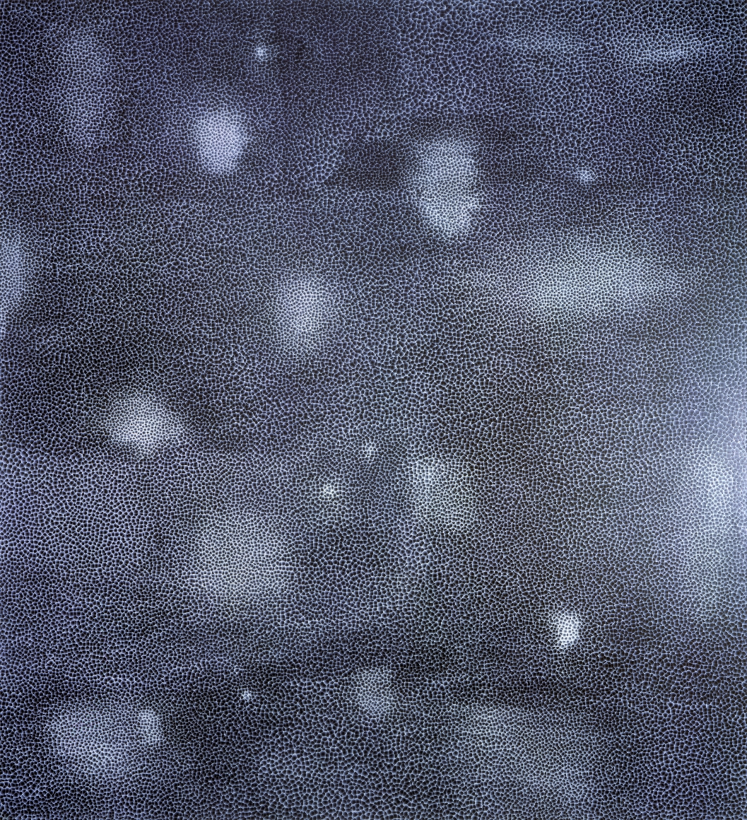 ROSS BLECKNER, Times & Communities, 1998