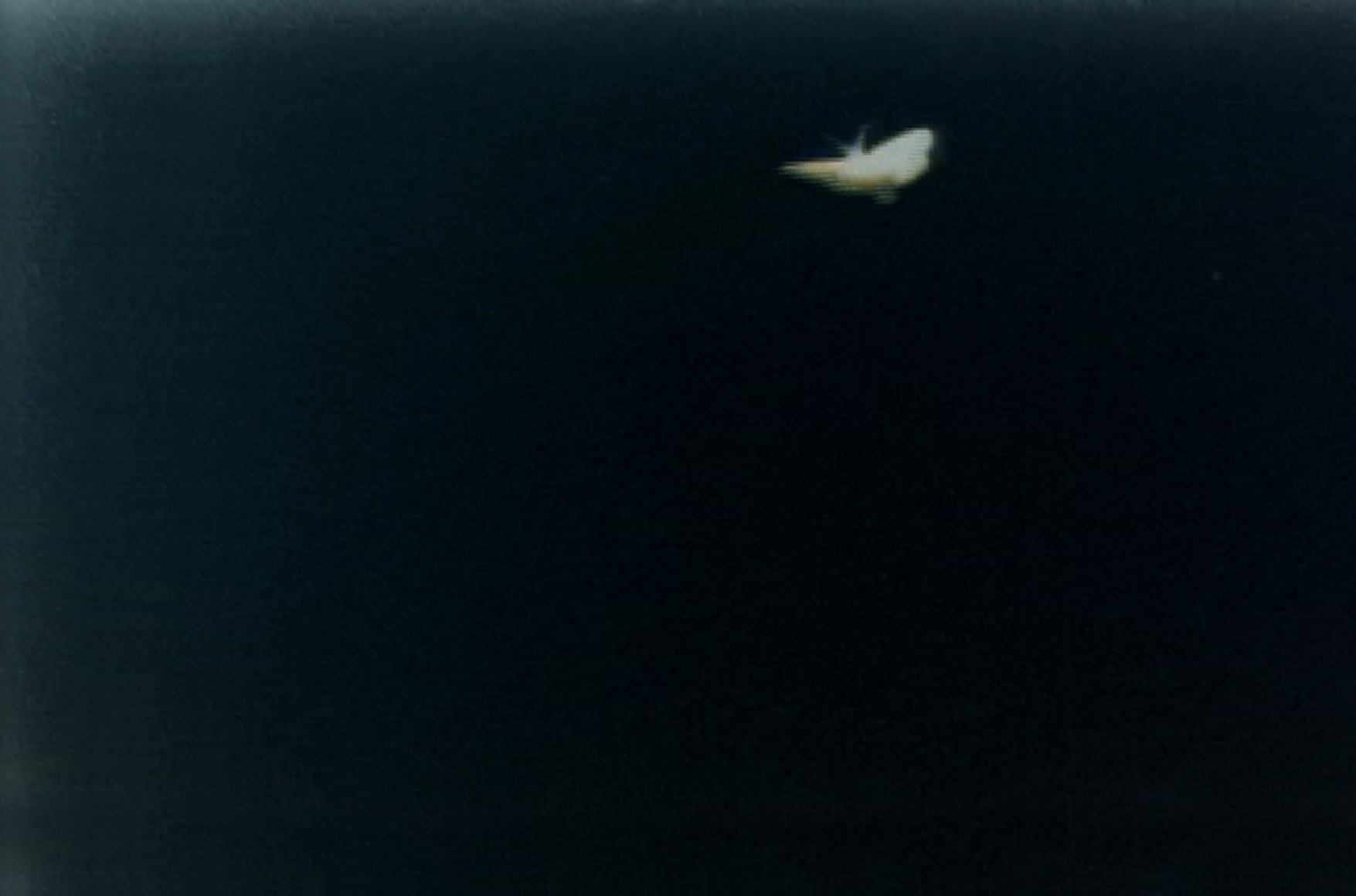 DOUG & MIKE STARN, ATL Film Still 18, 2000-2004