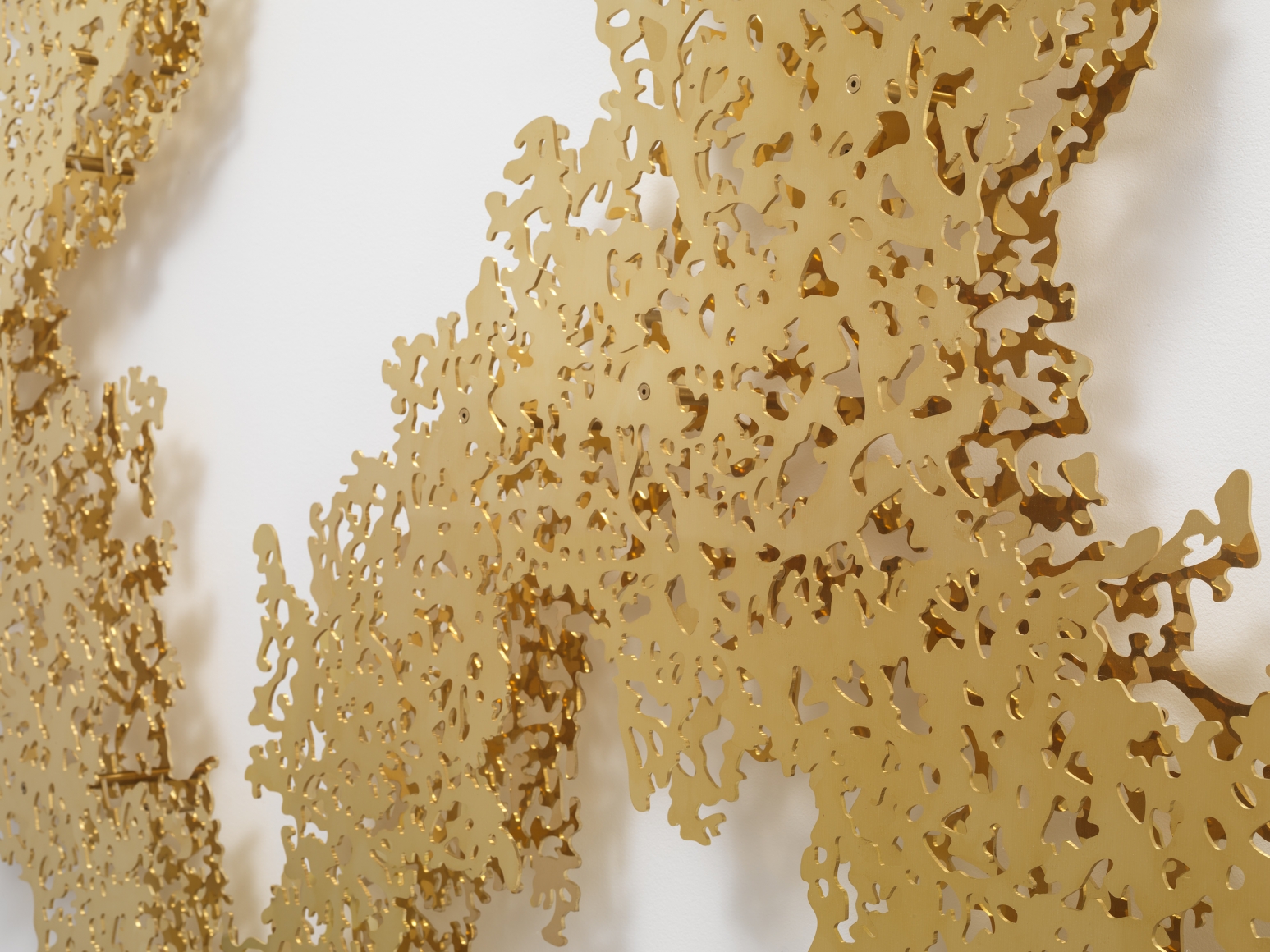 TERESITA FERNÁNDEZ Ghost Vines (Yellow Gold), 2015