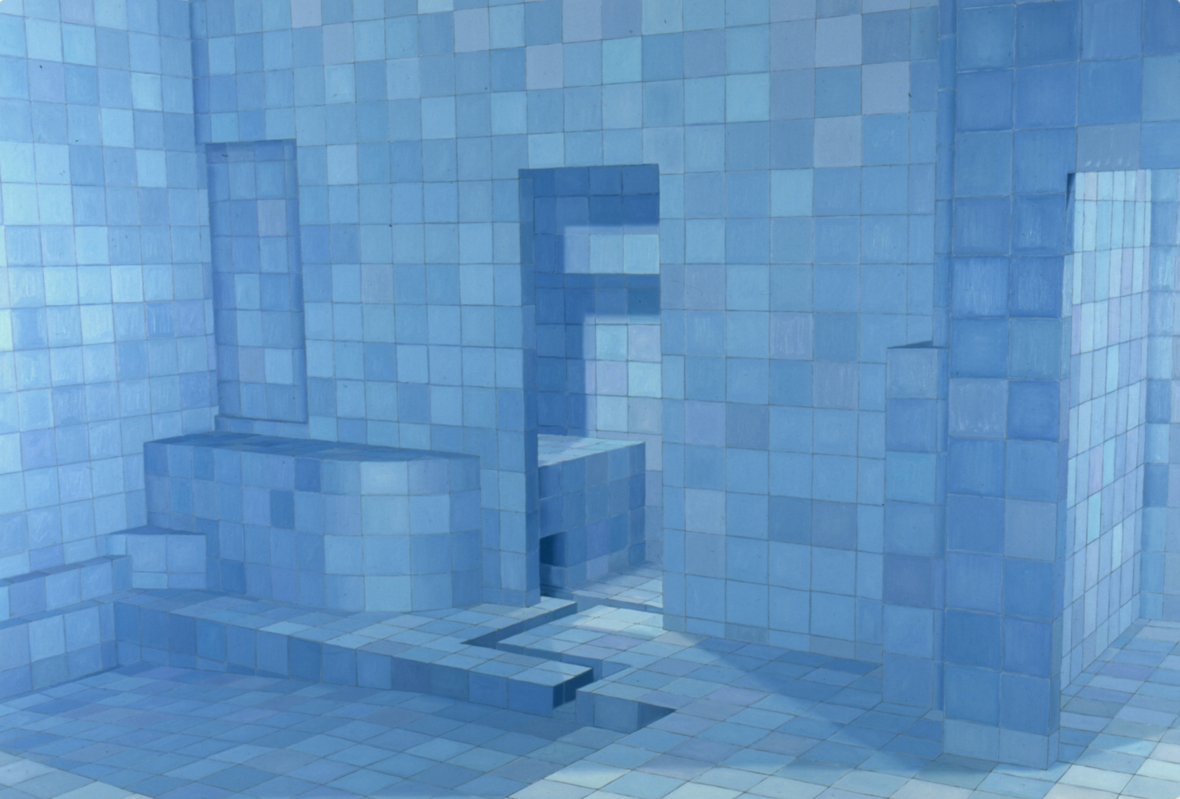 ADRIANA VAREJÃO, Blue Sauna, 2003