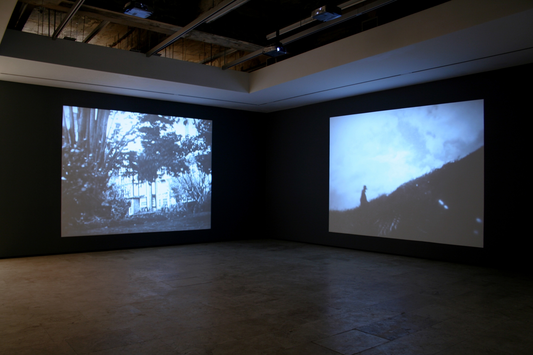 DAVID NOONAN Field, Owl, Tudor, Wayang, 2004-2005